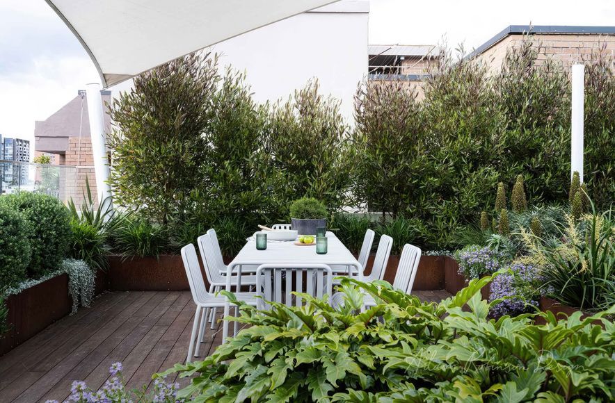 Pyrmont Apartments