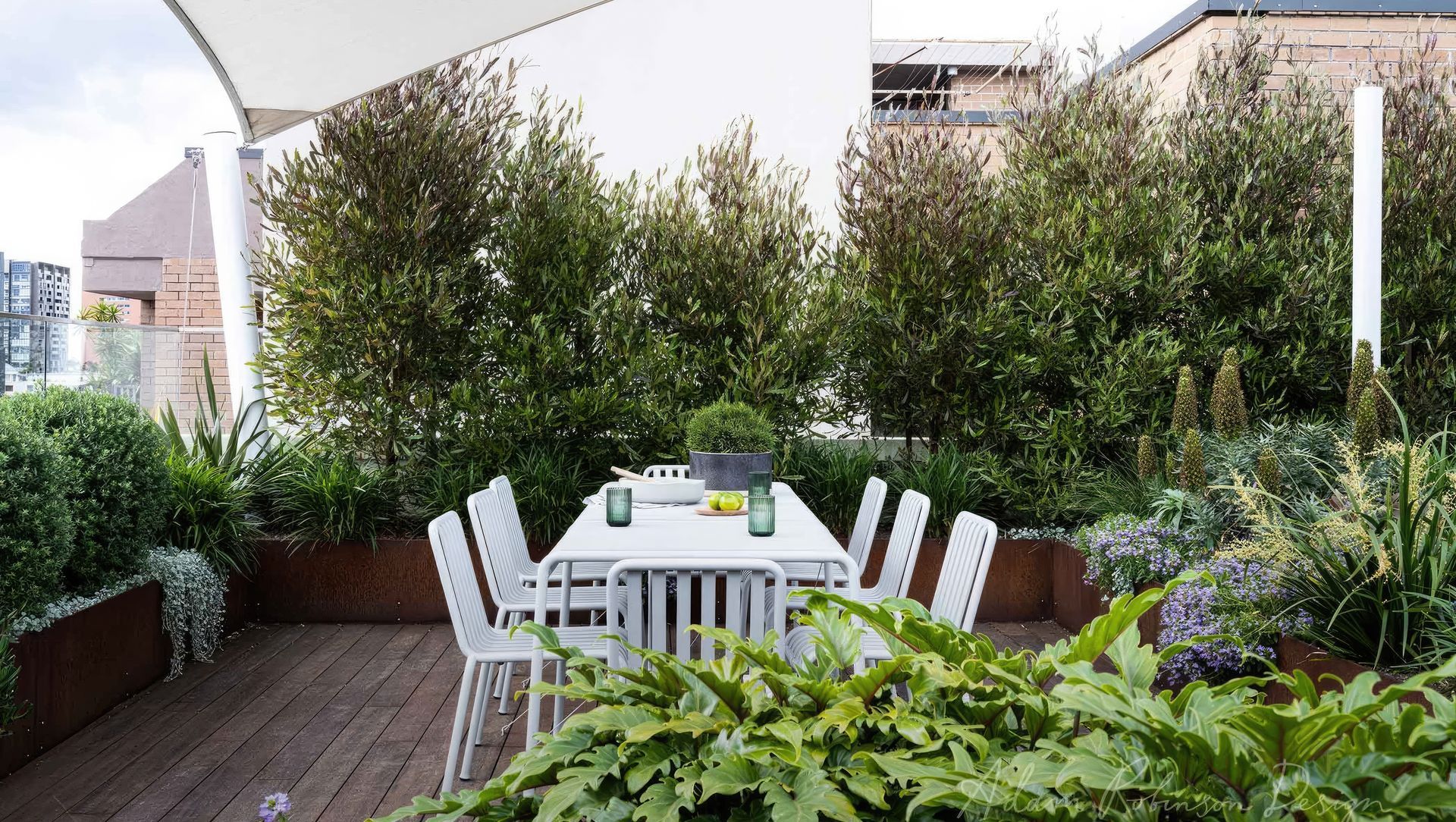 Pyrmont Apartments banner