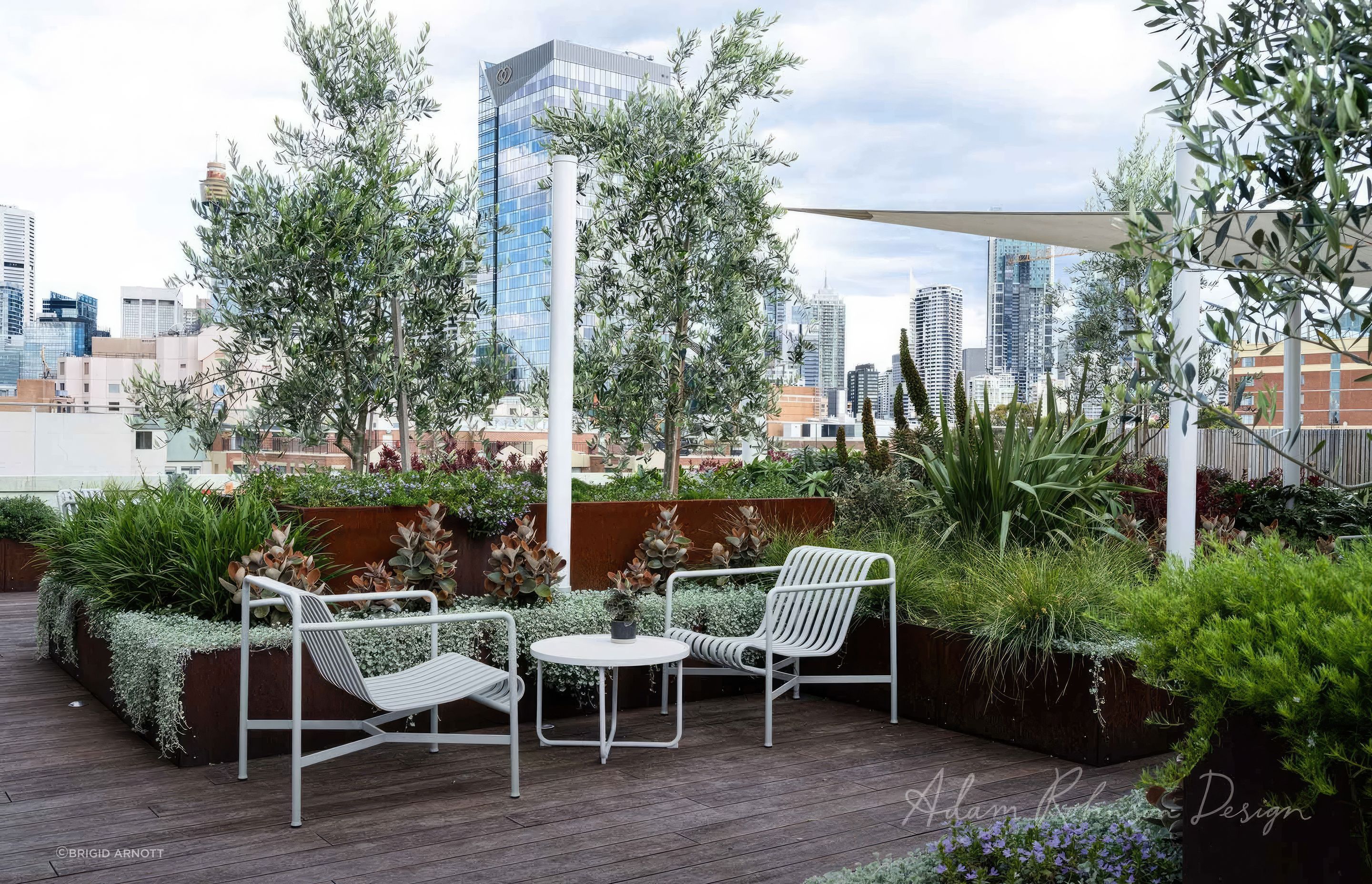 upADAMROBINSONDESIGNLandscapeDesignRooftopGardenSydneyPyrmont4148-fix-standard-scale-200x.jpg