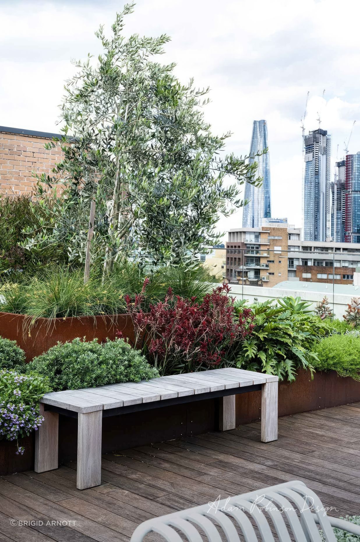 upADAMROBINSONDESIGNLandscapeDesignRooftopGardenSydneyPyrmont4150-fix-standard-scale-200x.jpg