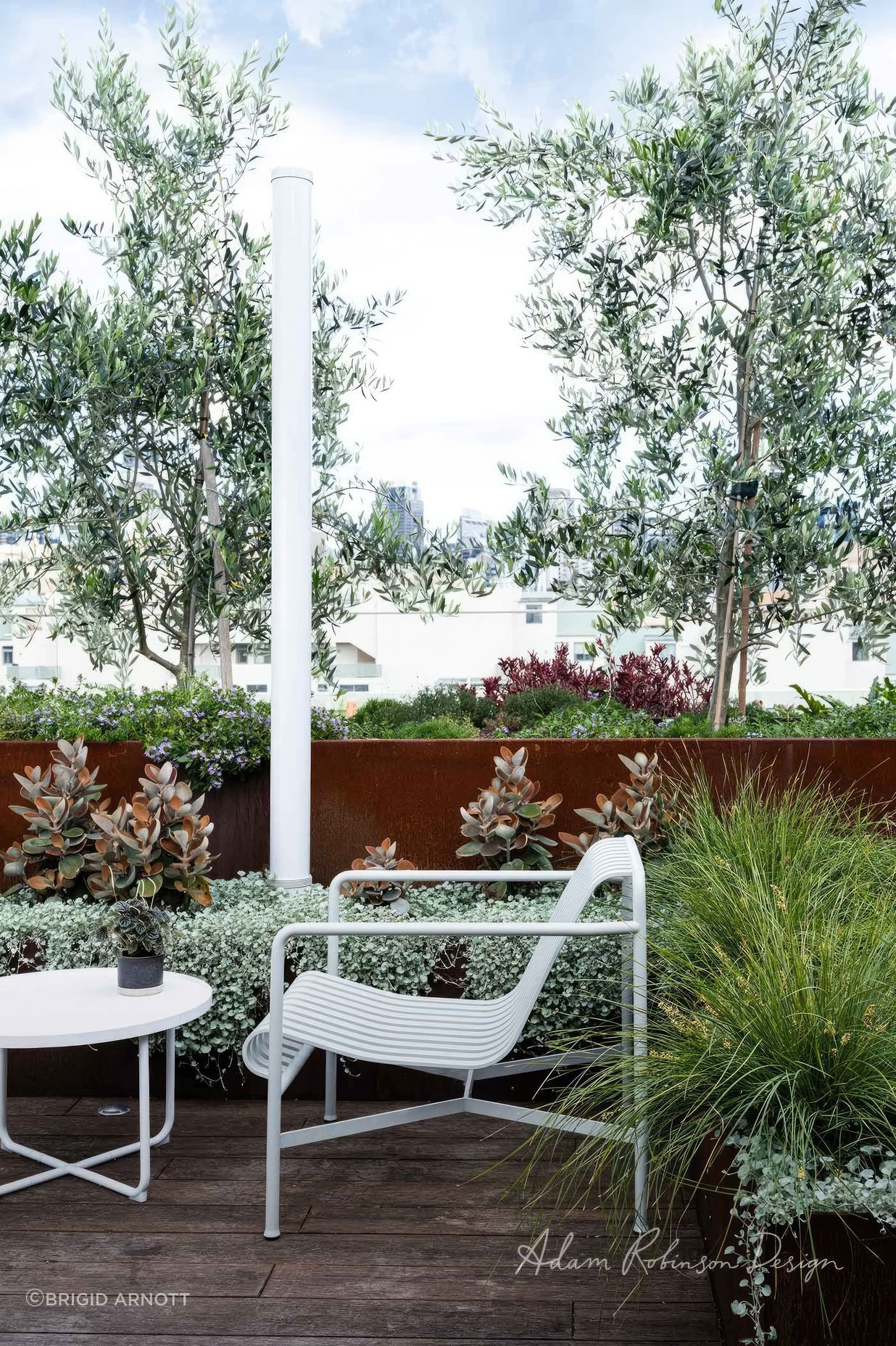 upADAMROBINSONDESIGNLandscapeDesignRooftopGardenSydneyPyrmont4152-fix-standard-scale-200x.jpg