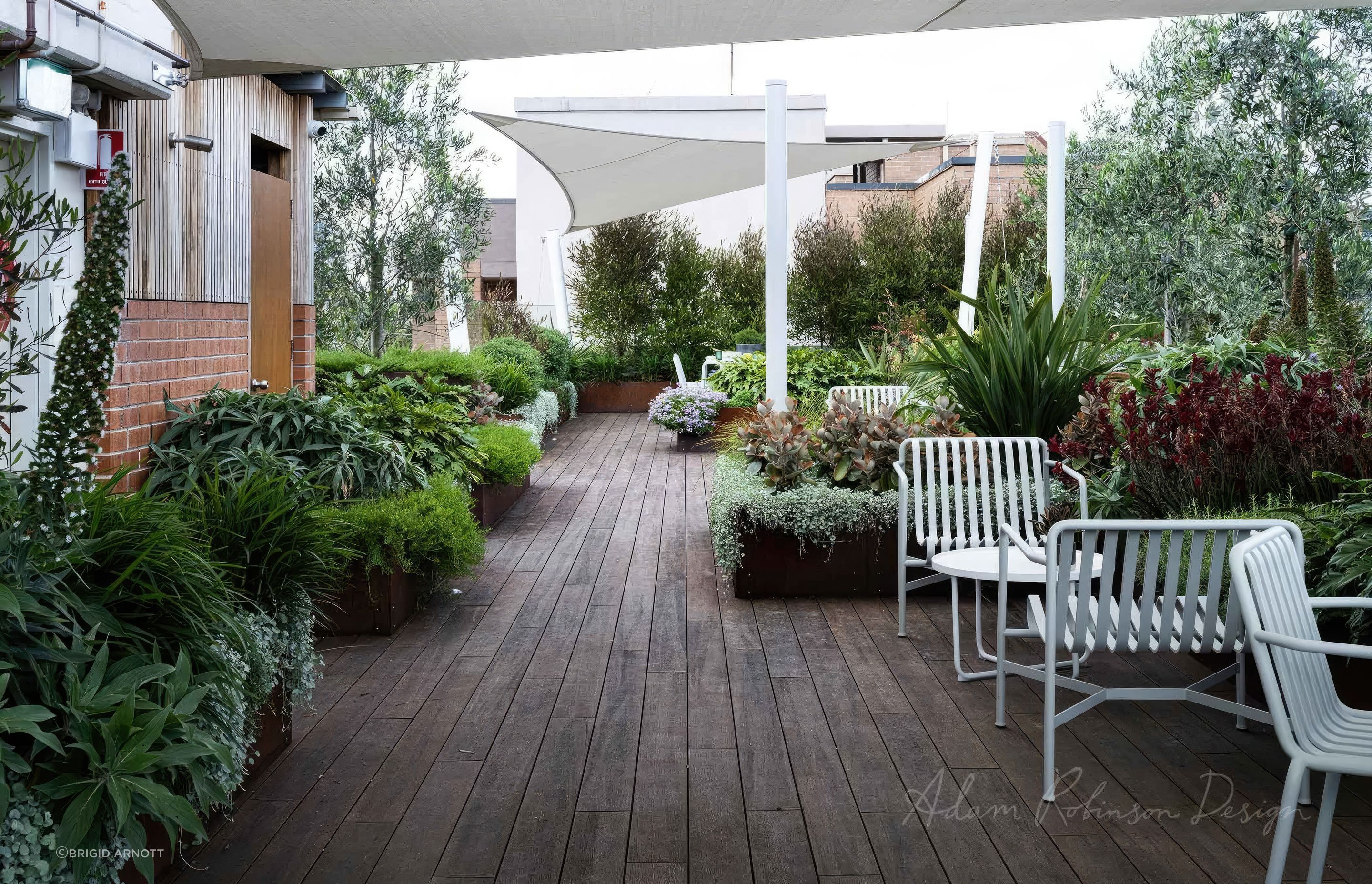 upADAMROBINSONDESIGNLandscapeDesignRooftopGardenSydneyPyrmont4156-fix-standard-scale-200x.jpg