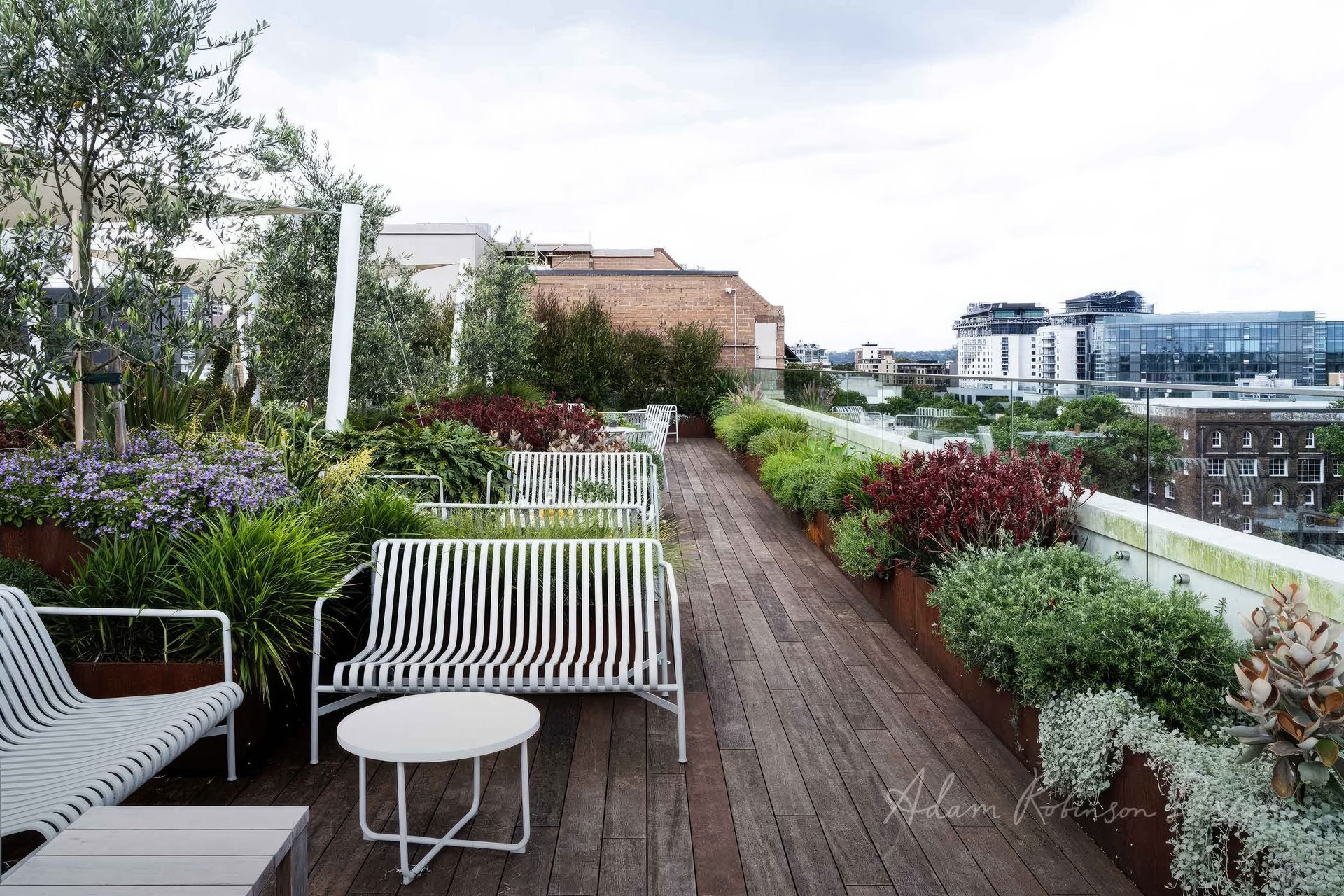 upADAMROBINSONDESIGNLandscapeDesignRooftopGardenSydneyPyrmont4158-fix-standard-scale-200x.jpg