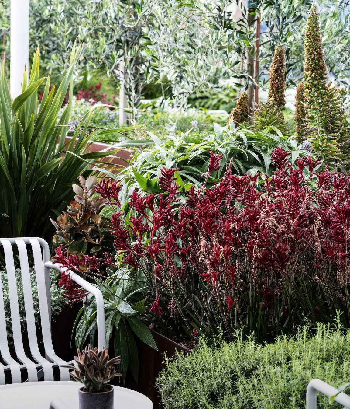 upADAMROBINSONDESIGNLandscapeDesignRooftopGardenSydneyPyrmont4161-fix-standard-scale-200x.jpg