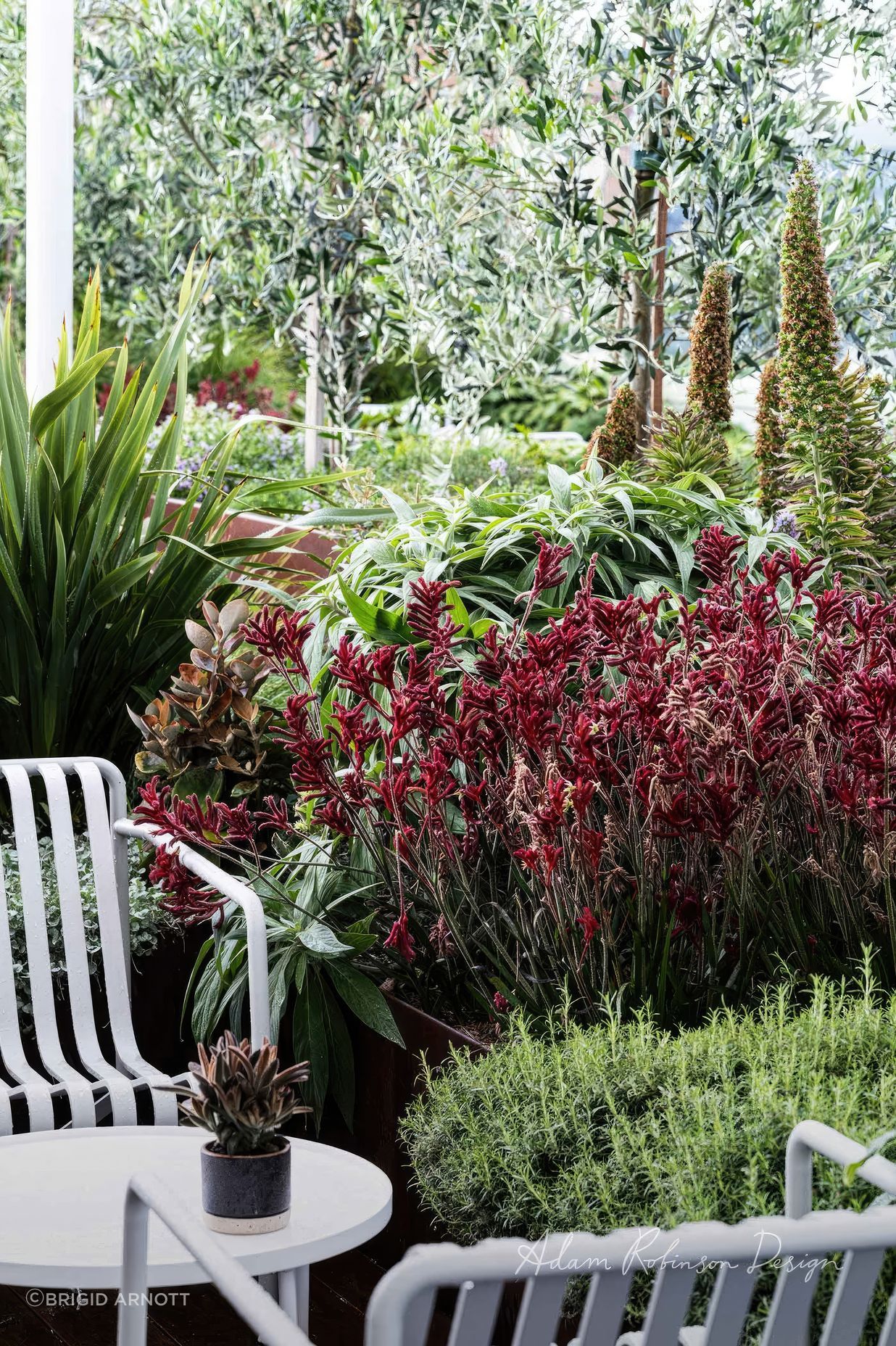 upADAMROBINSONDESIGNLandscapeDesignRooftopGardenSydneyPyrmont4161-fix-standard-scale-200x.jpg