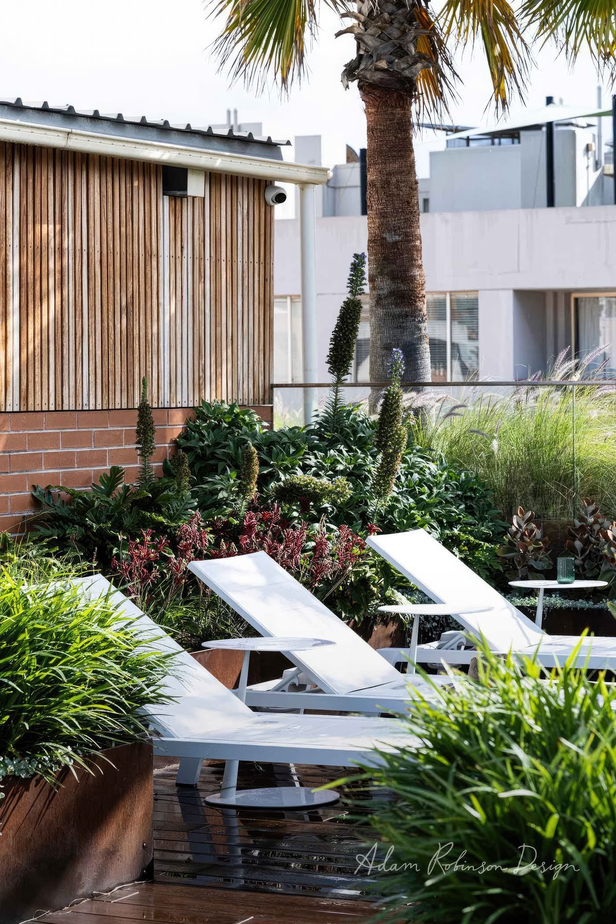 upADAMROBINSONDESIGNLandscapeDesignRooftopGardenSydneyPyrmont4165-fix-standard-scale-200x.jpg