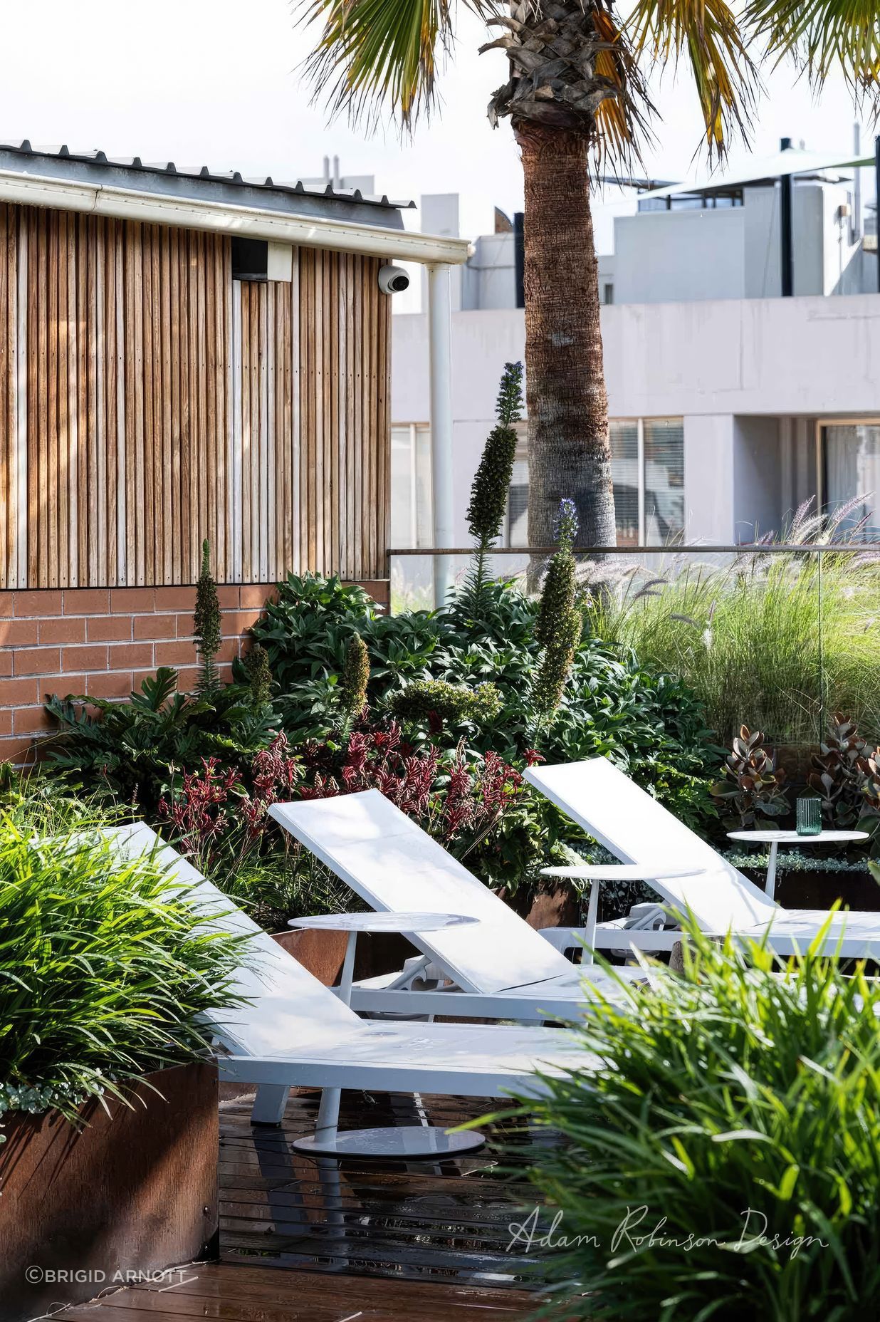 upADAMROBINSONDESIGNLandscapeDesignRooftopGardenSydneyPyrmont4165-fix-standard-scale-200x.jpg