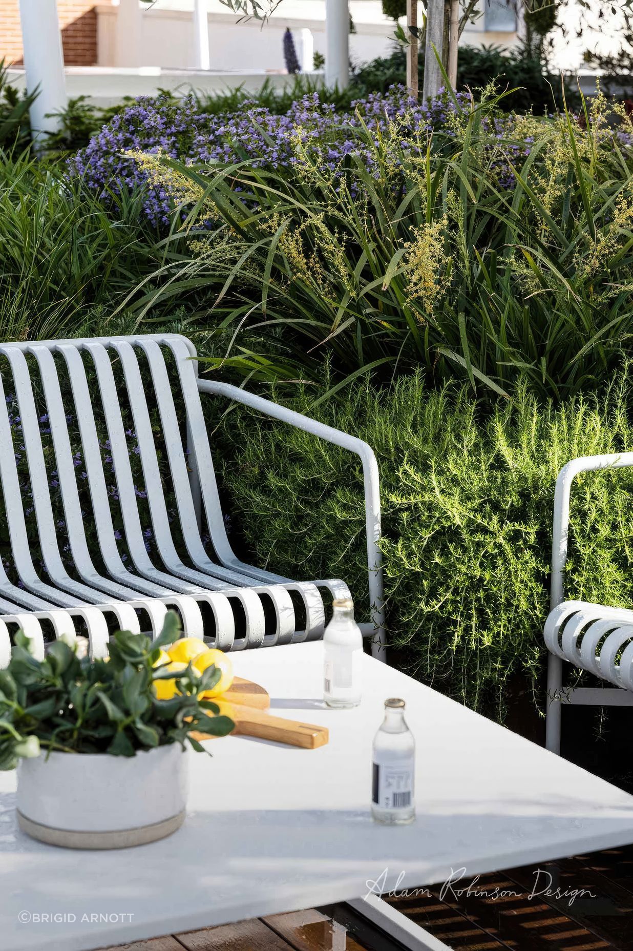 upADAMROBINSONDESIGNLandscapeDesignRooftopGardenSydneyPyrmont4173-fix-standard-scale-200x.jpg
