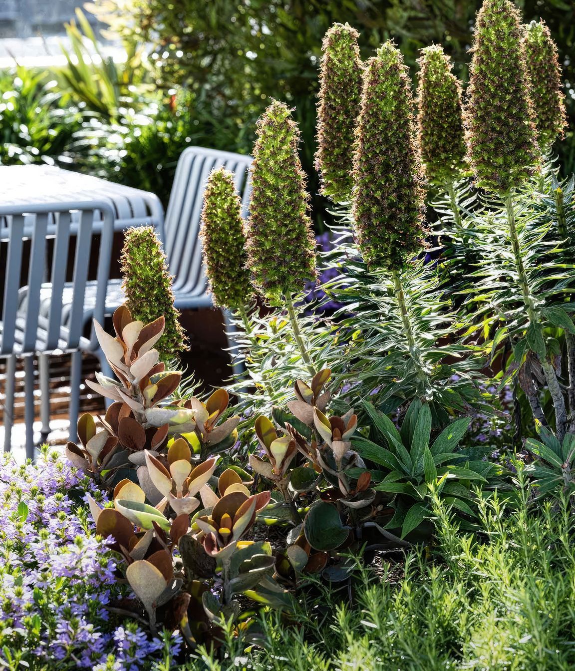 upADAMROBINSONDESIGNLandscapeDesignRooftopGardenSydneyPyrmont4188-fix-standard-scale-200x.jpg