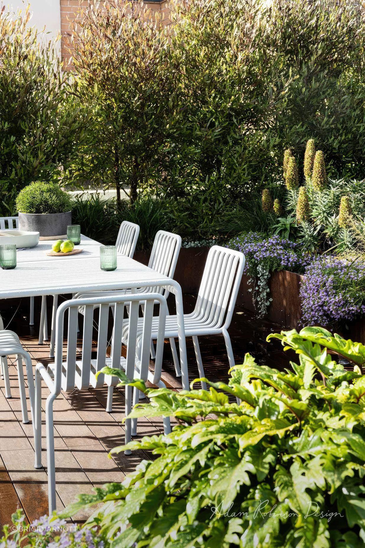 upADAMROBINSONDESIGNLandscapeDesignRooftopGardenSydneyPyrmont4210-fix-standard-scale-200x.jpg