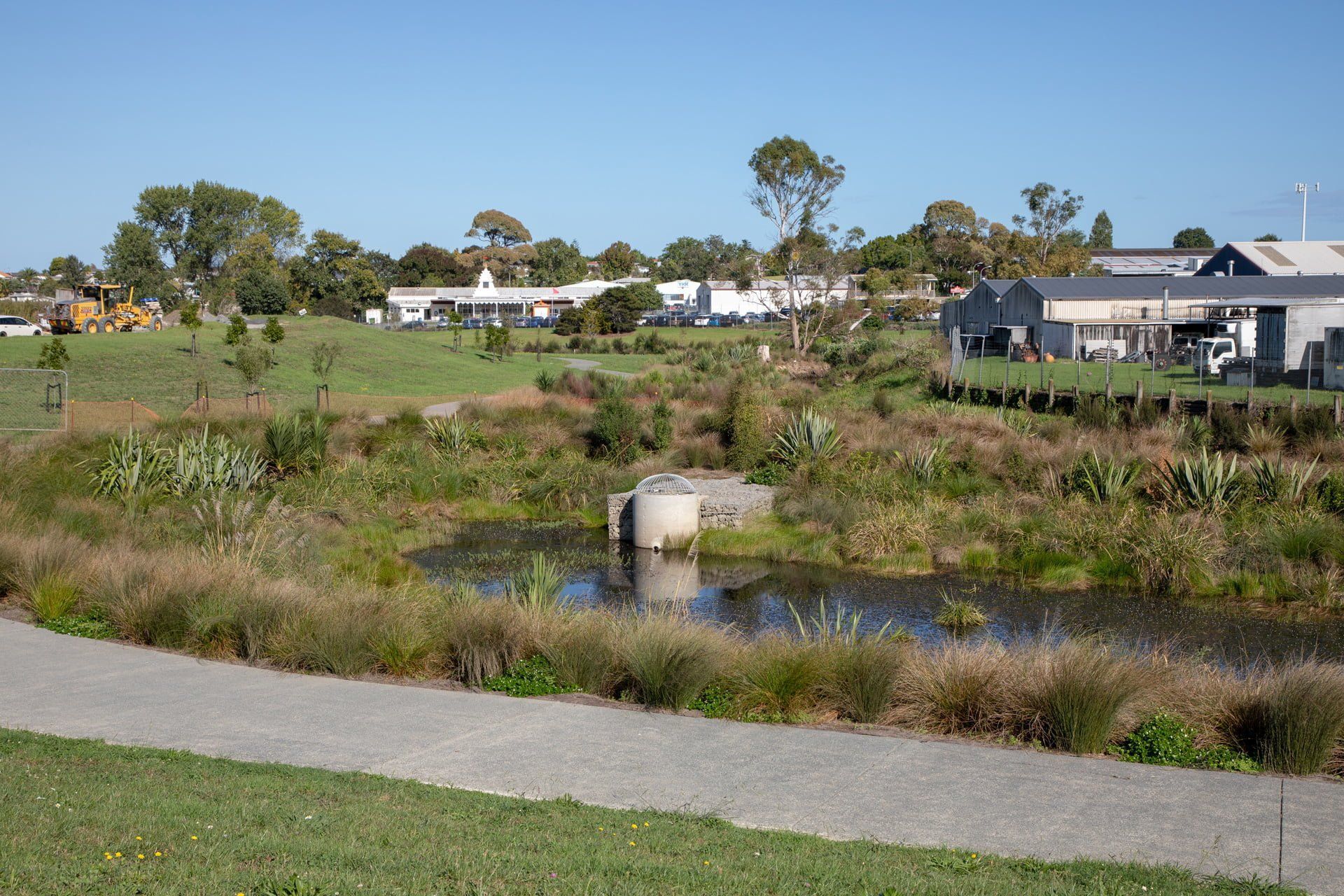 waiata-shores-stormwater-pond-182A1147.jpg