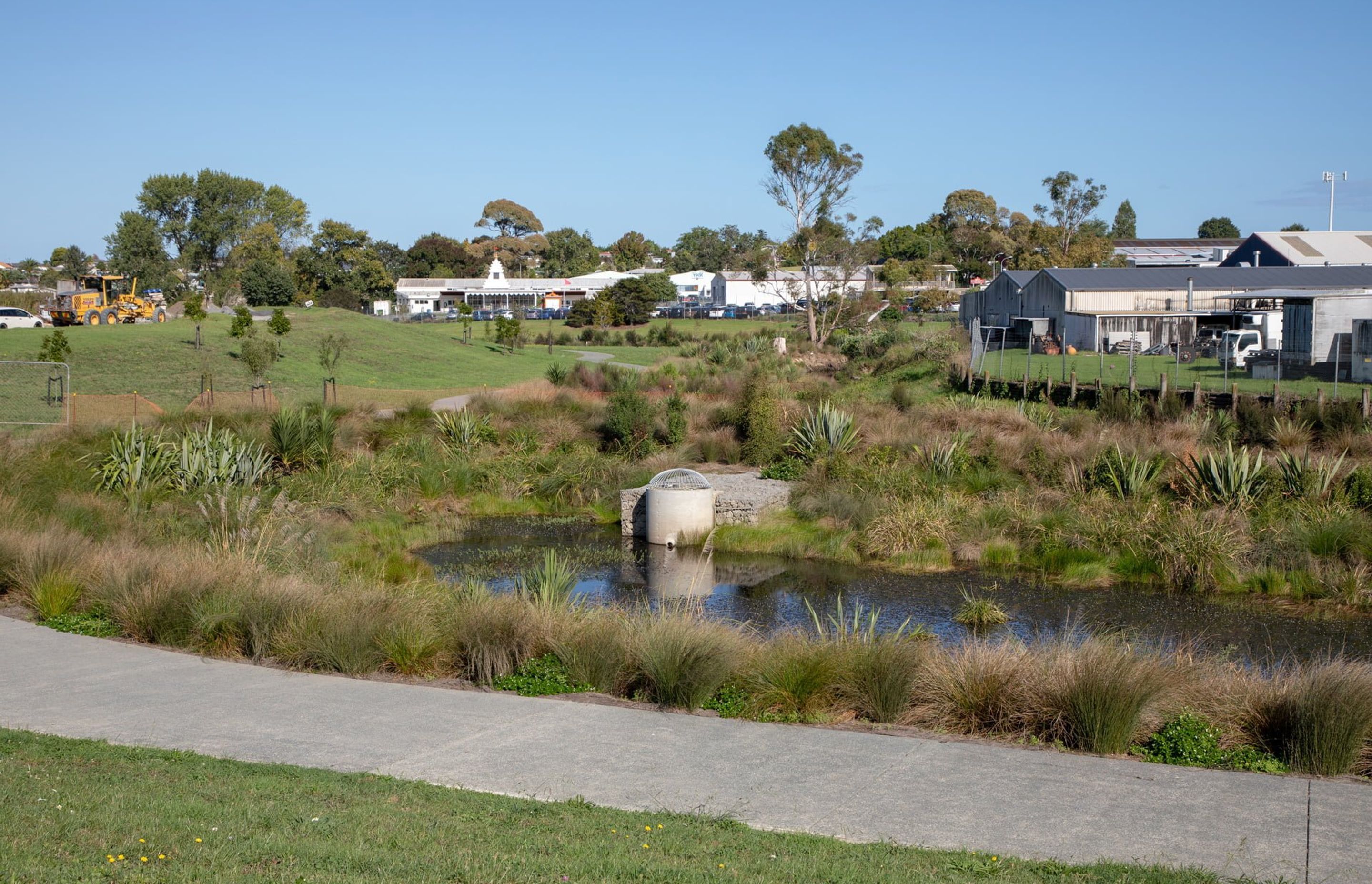 waiata-shores-stormwater-pond-182A1147.jpg