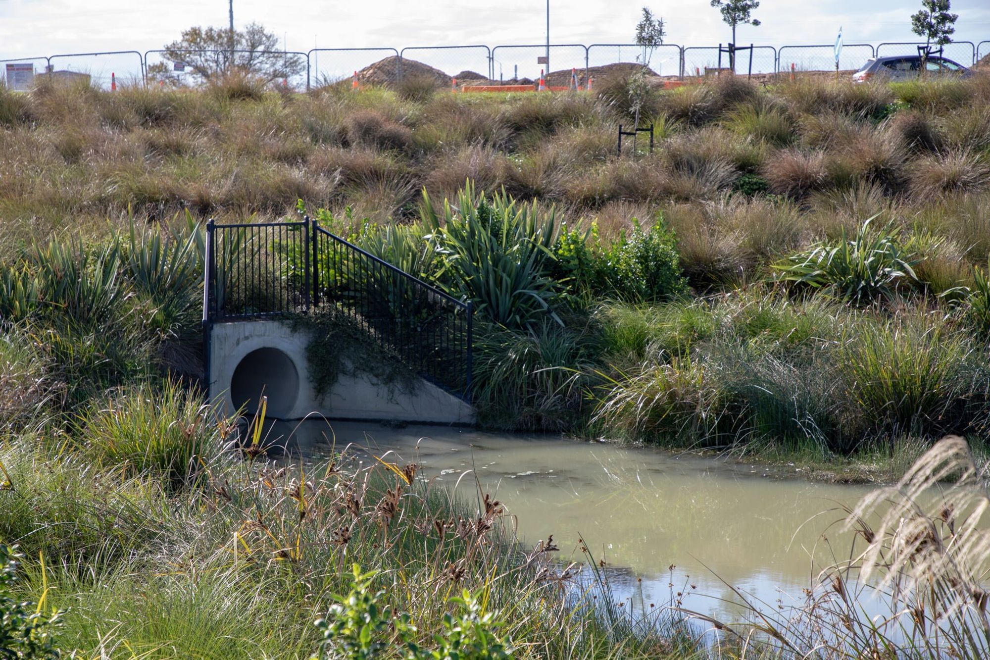 waiata-shores-stormwater-pond-182A1167.jpg