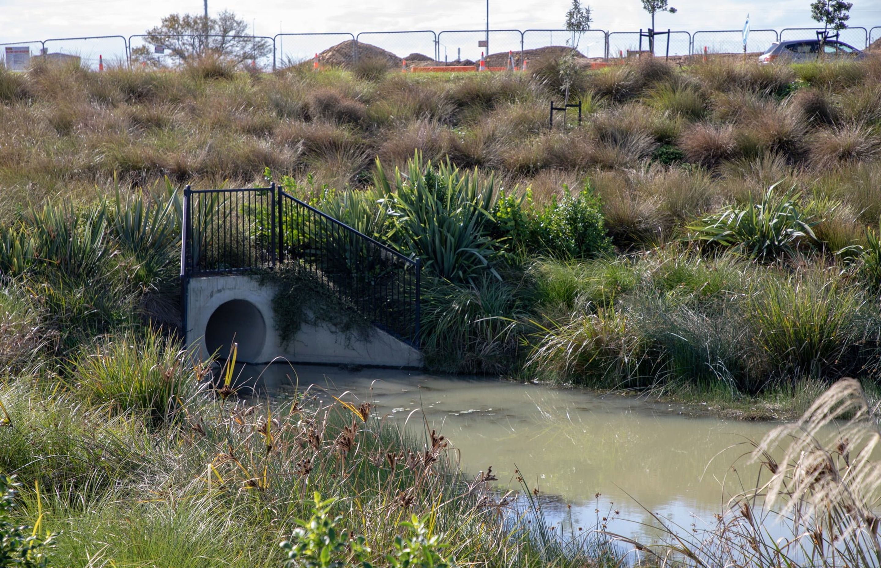 waiata-shores-stormwater-pond-182A1167.jpg