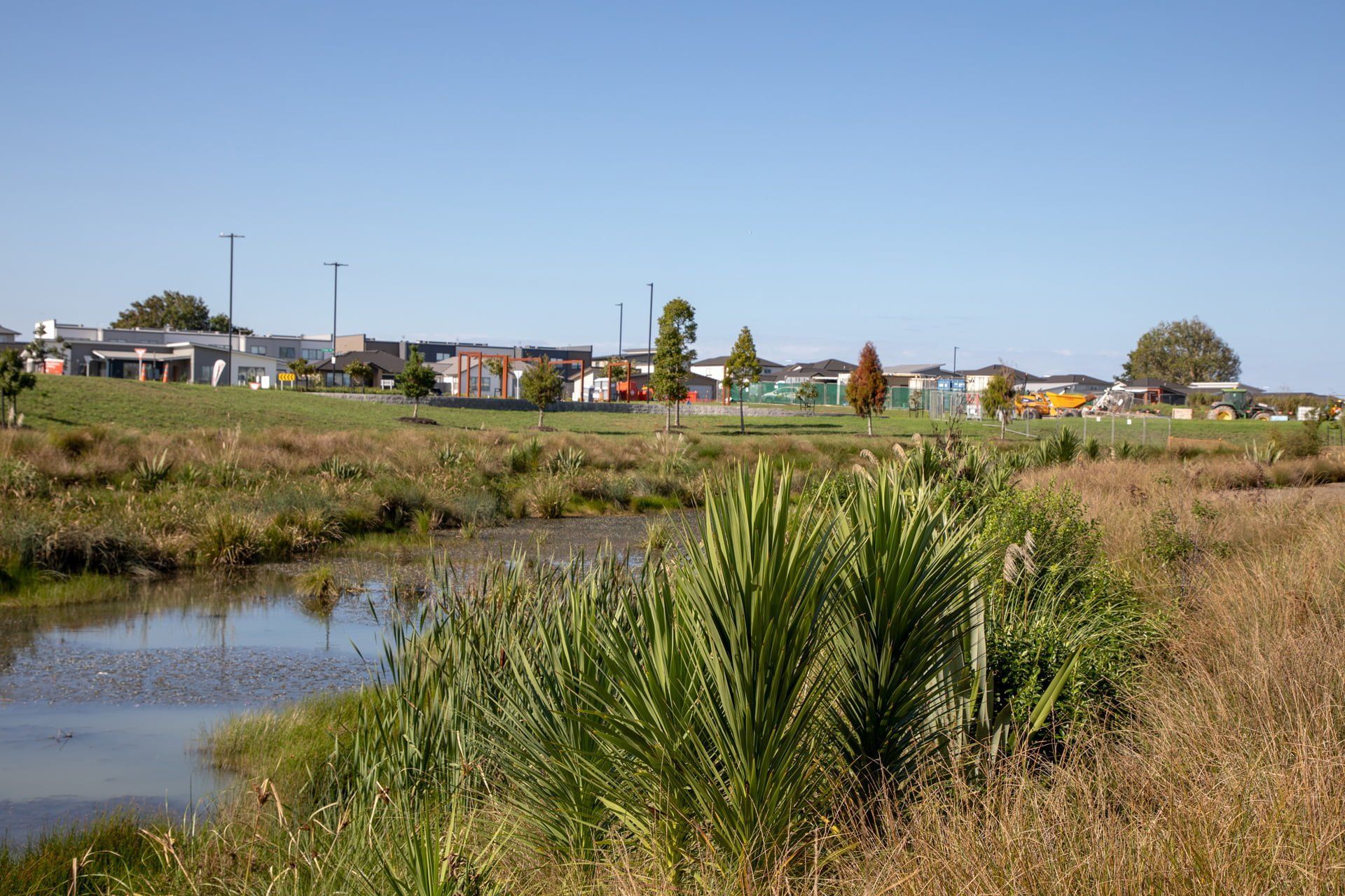 waiata-shores-stormwater-pond-182A1168.jpg