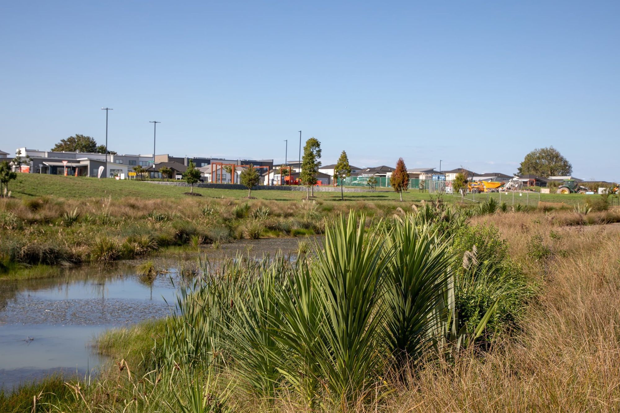 waiata-shores-stormwater-pond-182A1168.jpg
