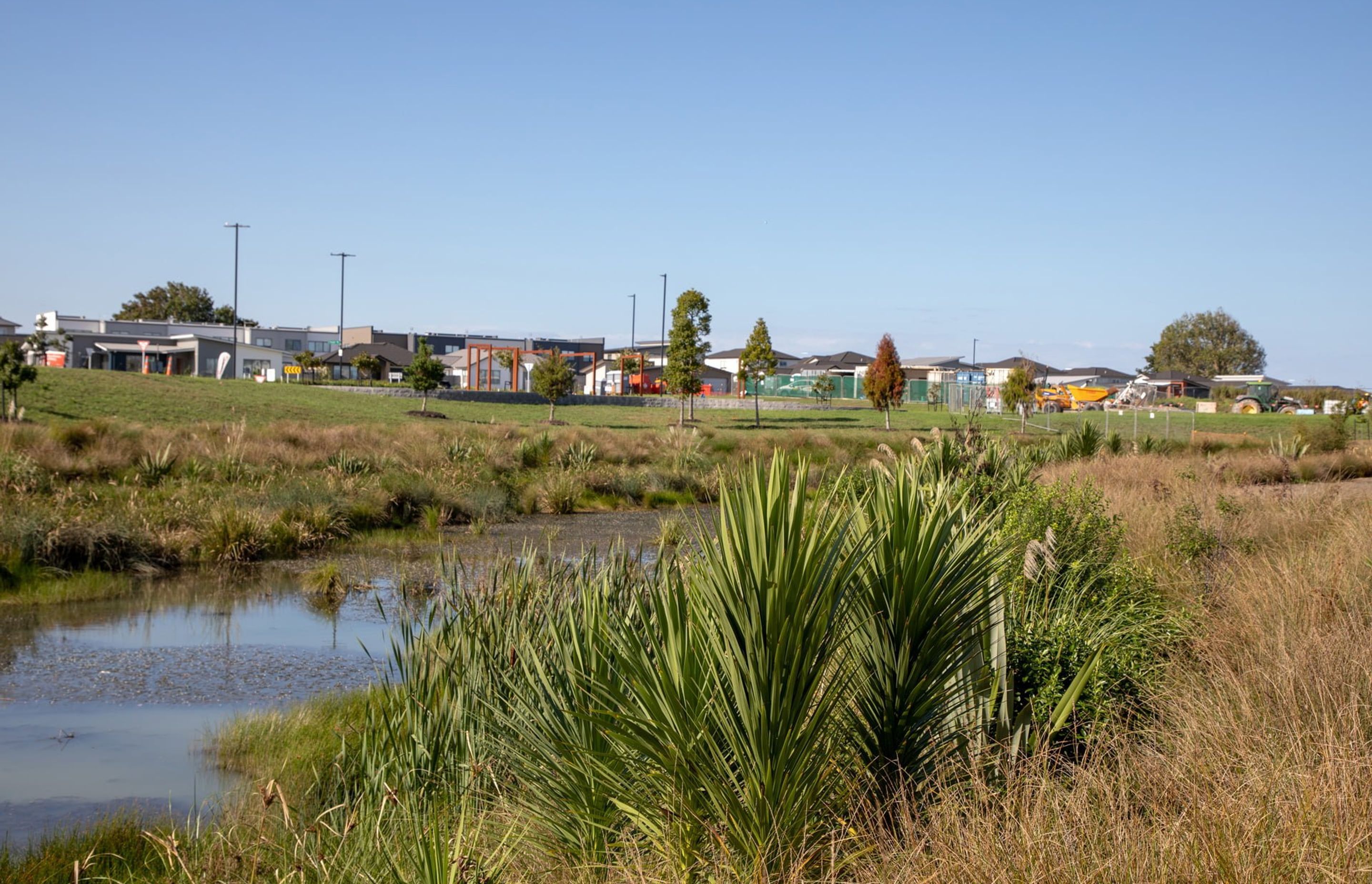 waiata-shores-stormwater-pond-182A1168.jpg