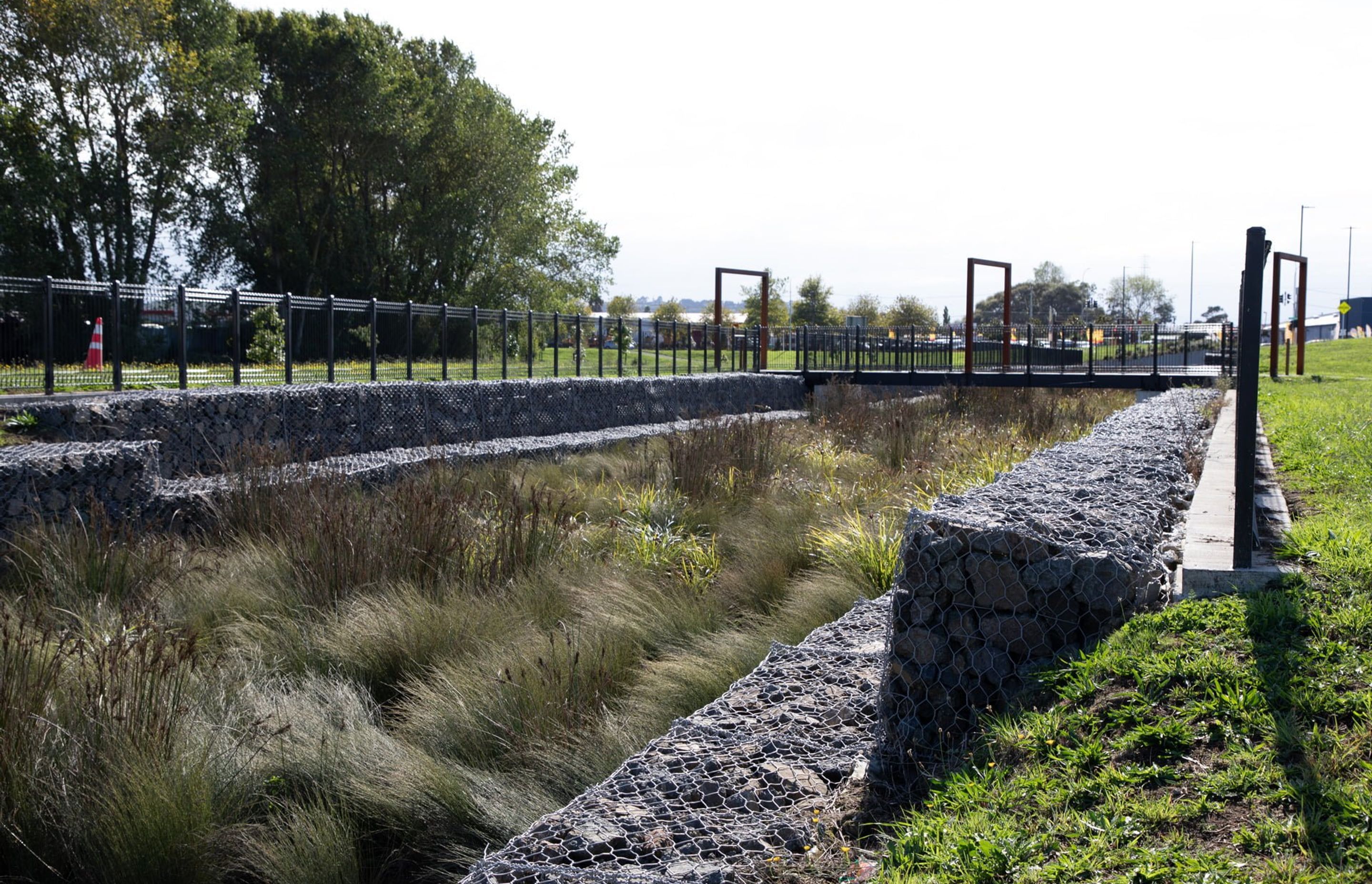 waiata-shores-stormwater-pond-182A1169.jpg