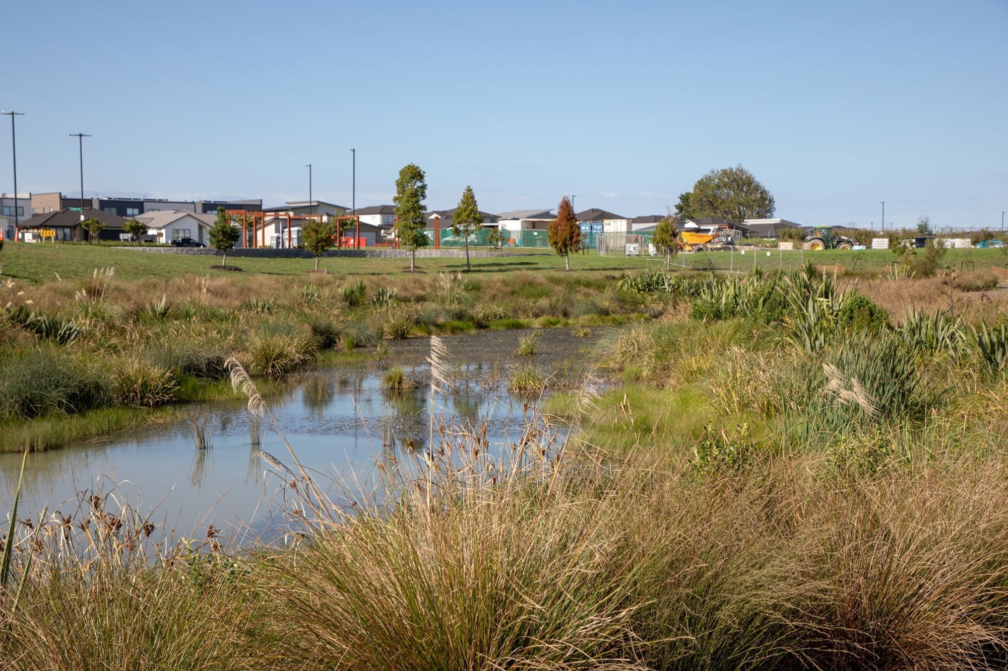waiata-shores-stormwater-pond-182A1171.jpg