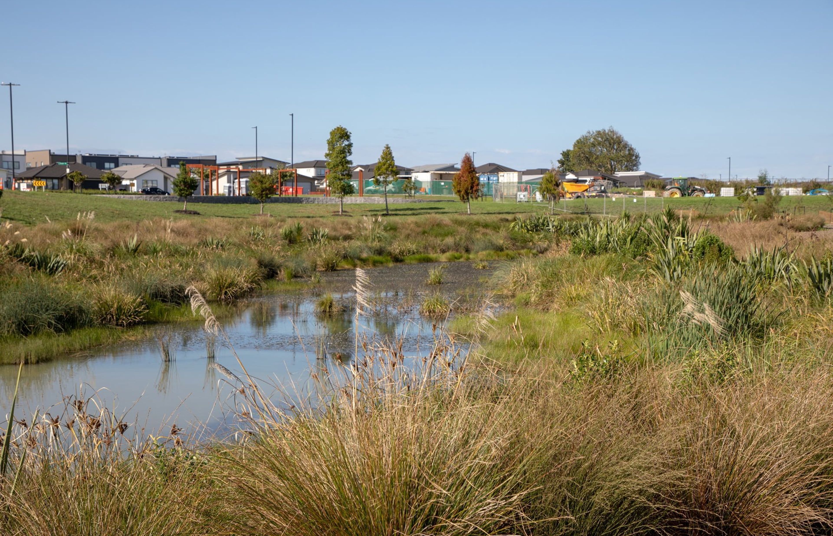 waiata-shores-stormwater-pond-182A1171.jpg