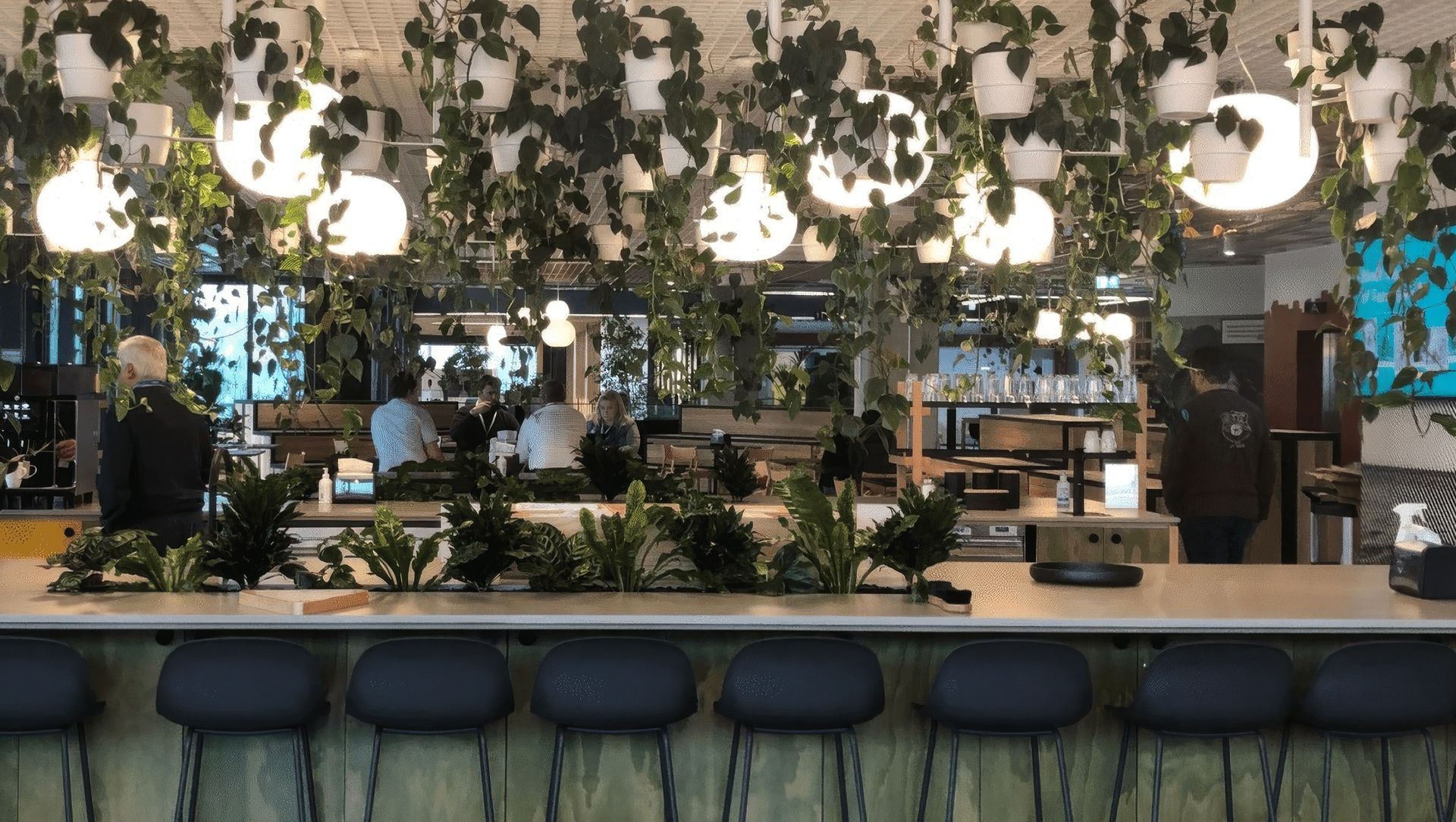 2 Degrees – Auckland banner