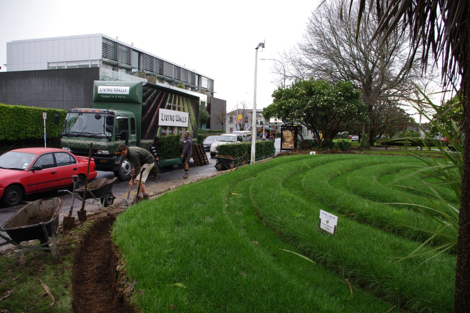 THE PROCESS - Installing Living Walls™ instant hedges as a natural pedestrian barrier while allowing the public to view the space.