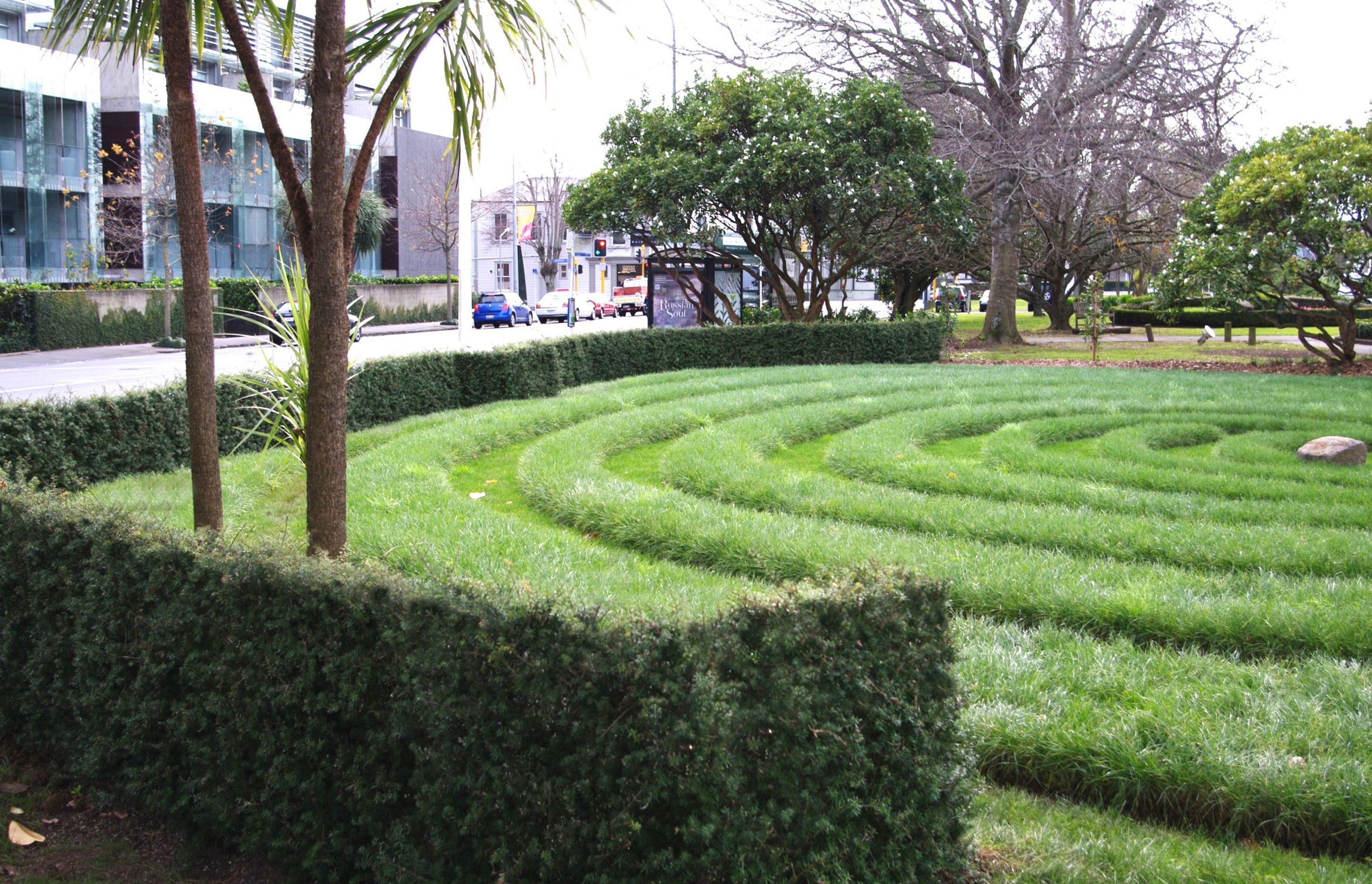 Hedges for Commercial And Hospitality Projects