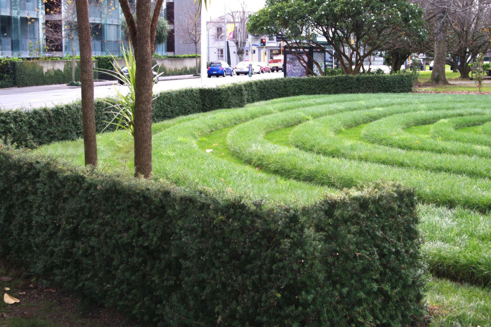 The completed hedge creates a respectful boundary around the columbarium while preserving views of the cathedral and memorial area from the footpath.
