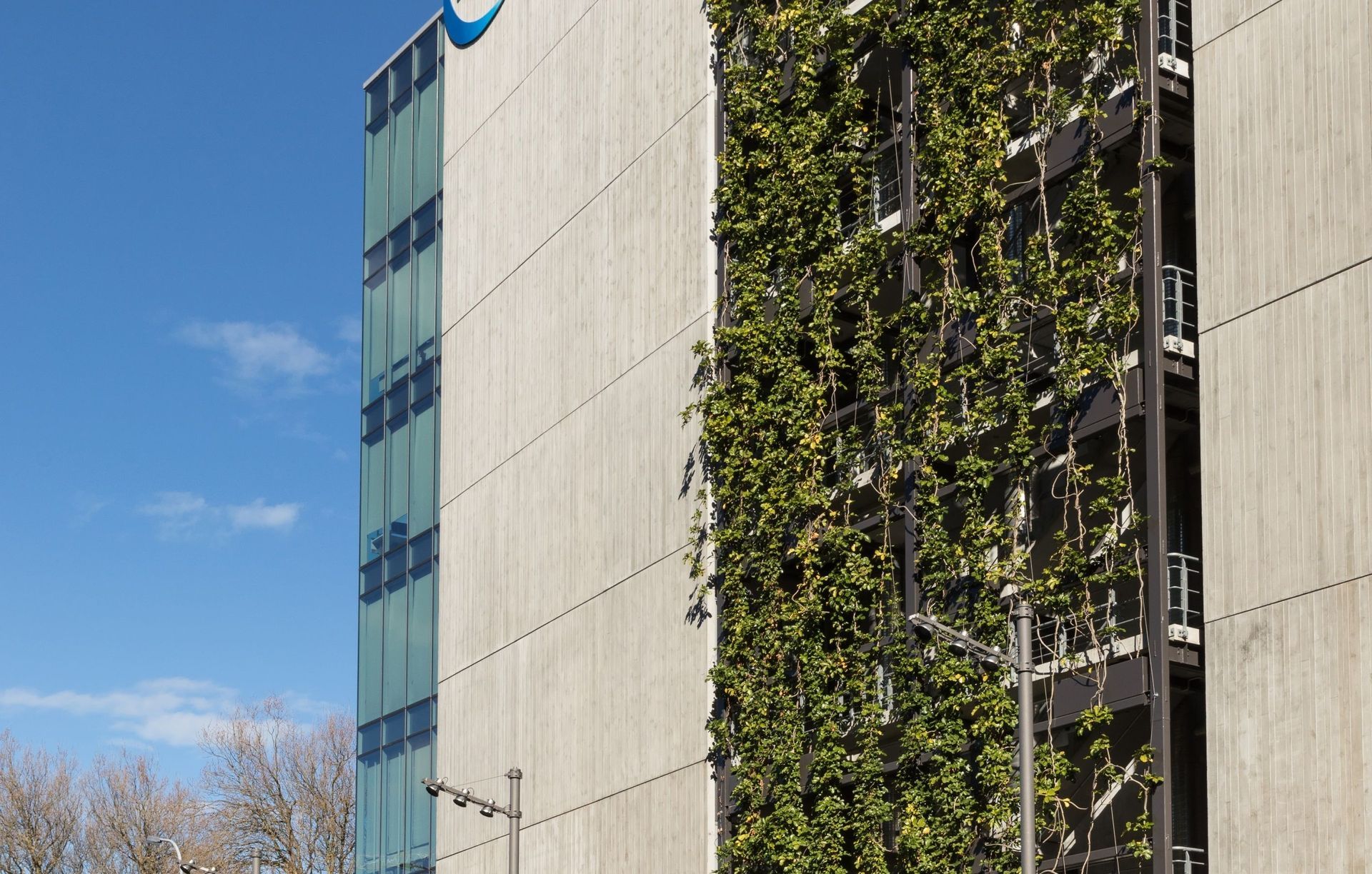 Fonterra - foliage growing wires and planter boxes 