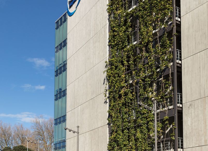 Fonterra - foliage growing wires and planter boxes 