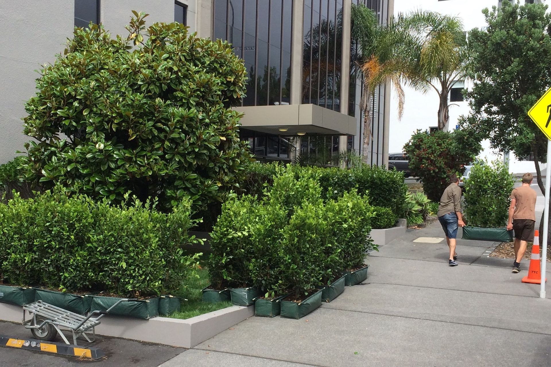 THE PROCESS - Living Walls™ instant hedges provide a fast and effective way to improve the aesthetics of commercial areas.