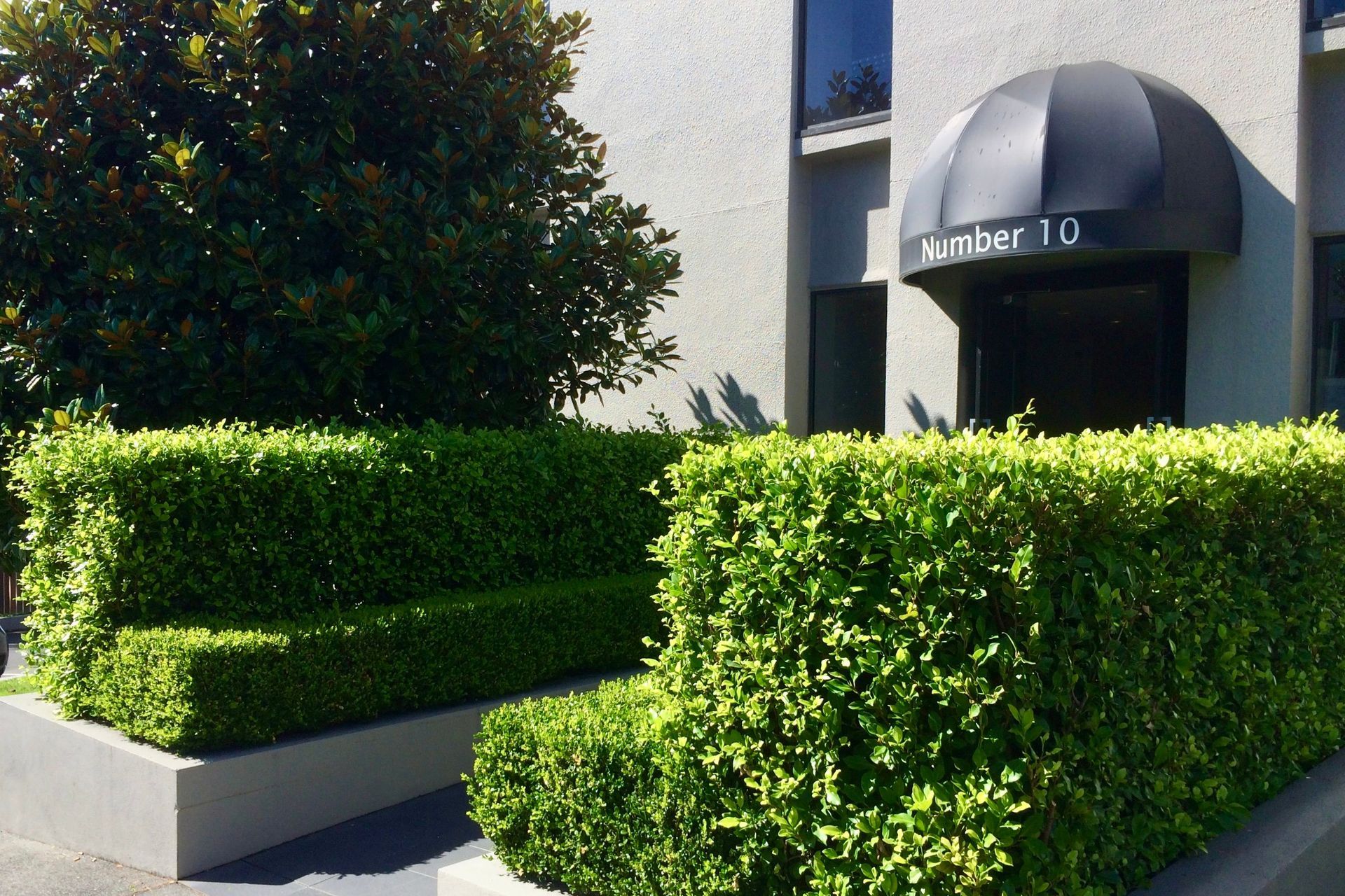 Living Walls™ hedges in raised planters create layered green structure and help define the building entrance.