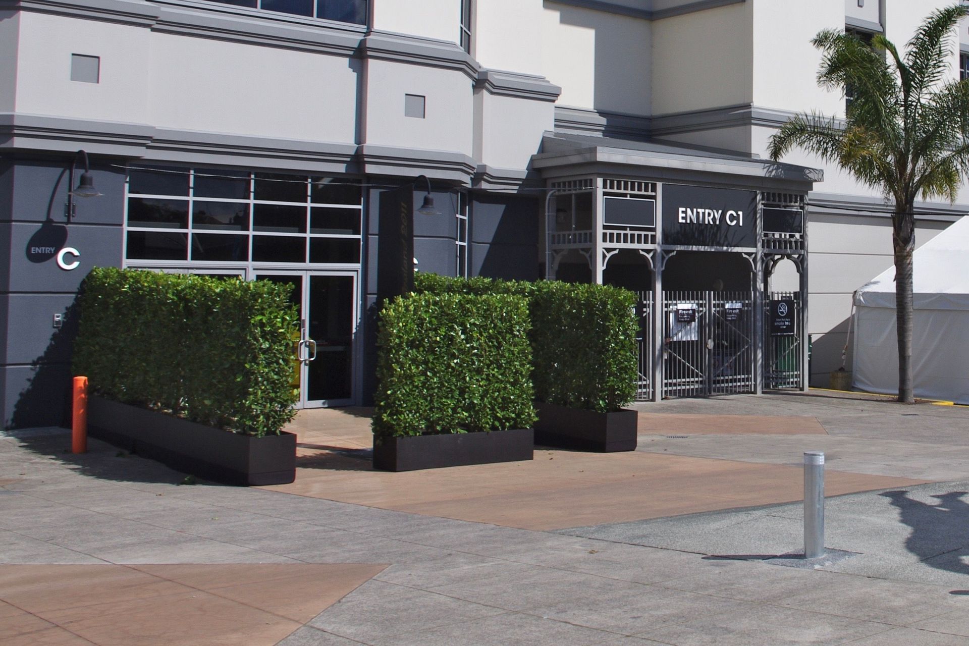 Living Walls™ hedges helped guide pedestrian movement at Eden Park during the 2011 Rugby World Cup, separating general spectator access from the route to the corporate boxes.