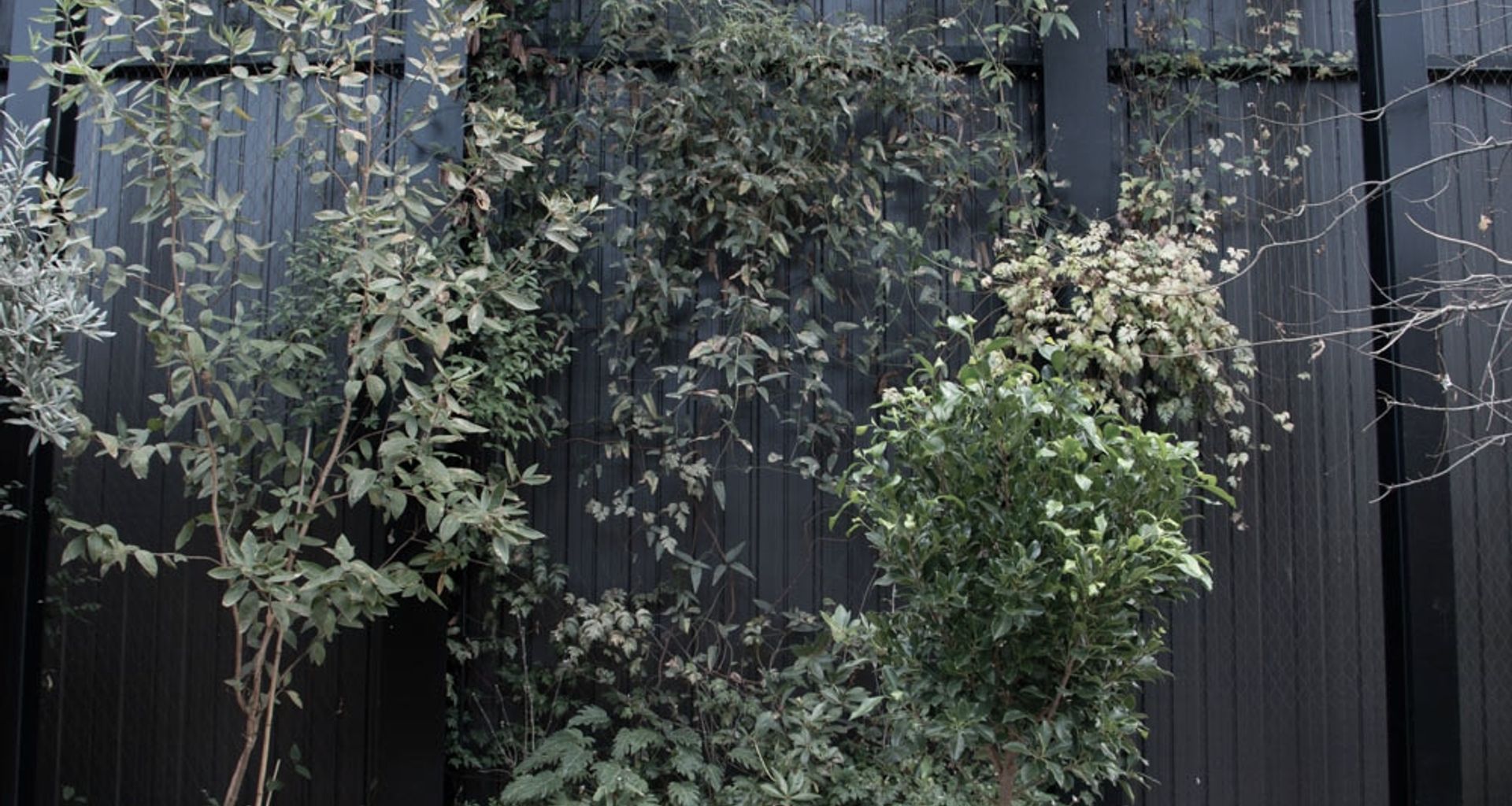 The Glasshouse tensile mesh foliage growing support banner