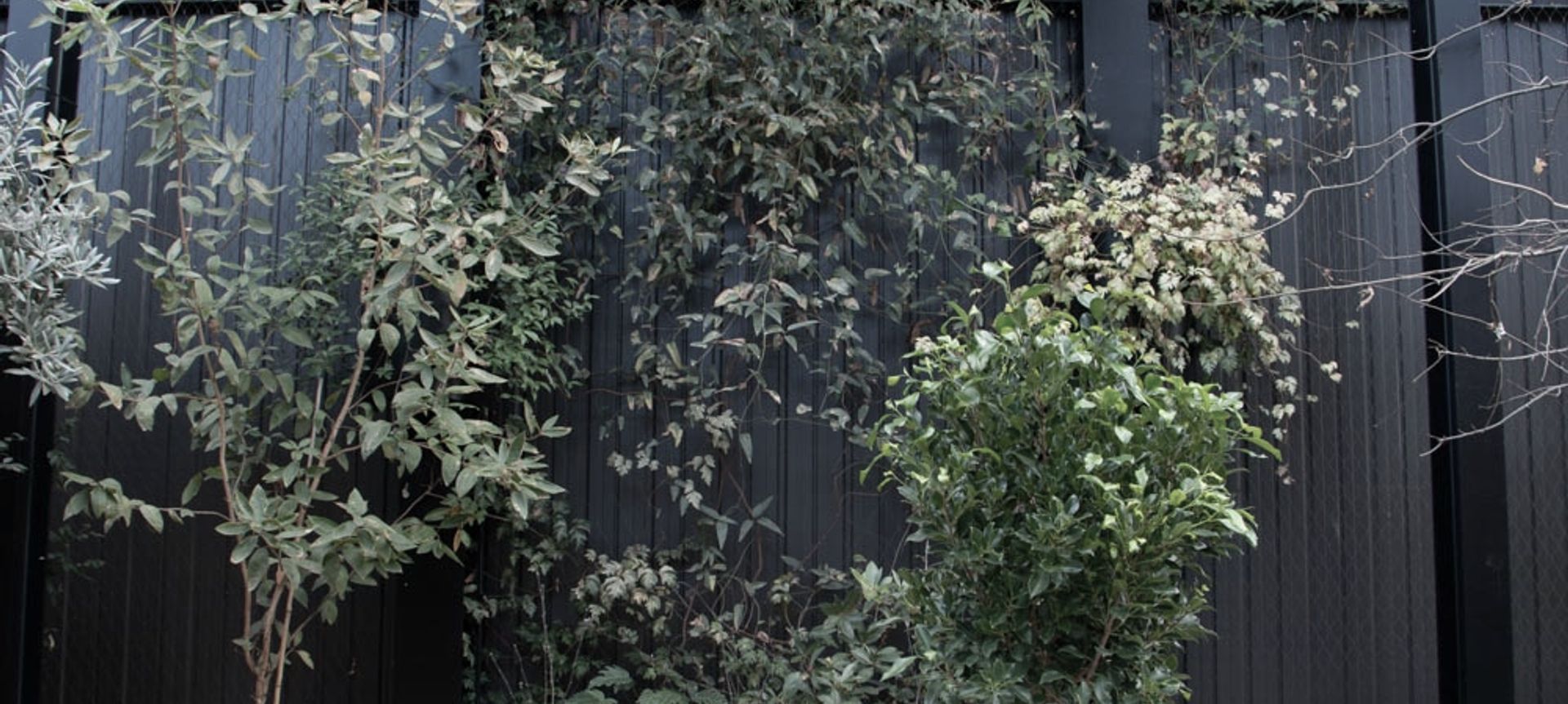 The Glasshouse tensile mesh foliage growing support banner