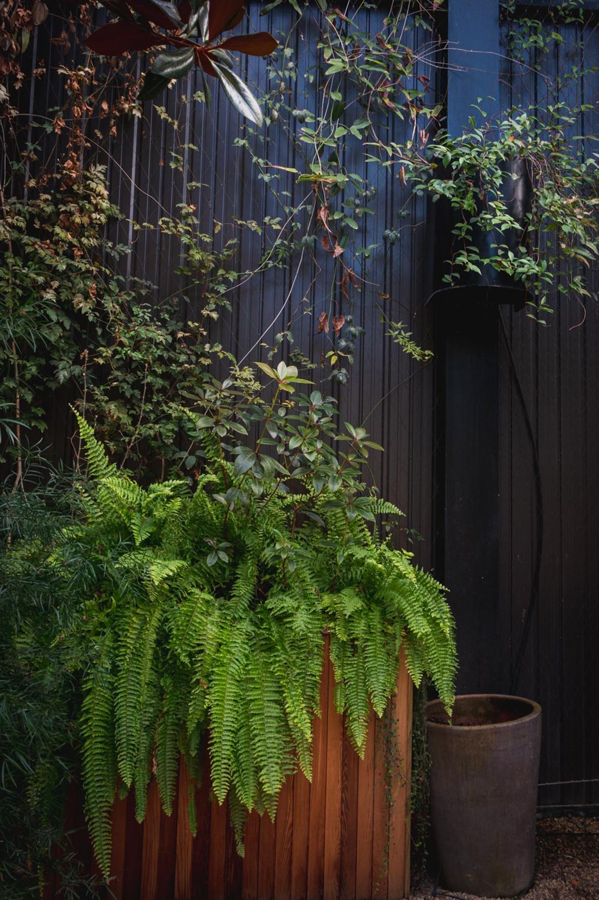 The Glasshouse tensile mesh foliage growing support