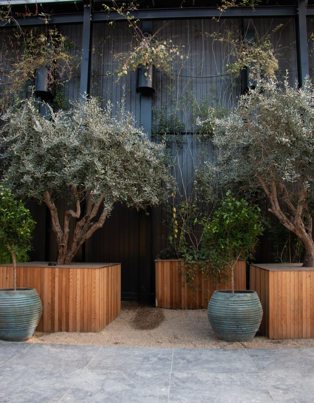 The Glasshouse tensile mesh foliage growing support