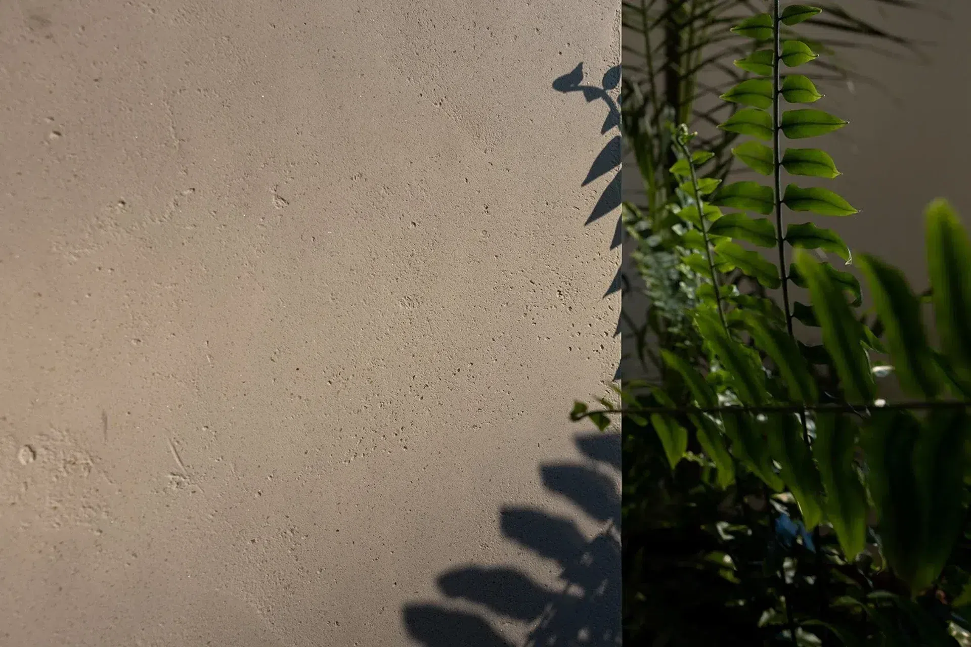 MilfordAssetsuavestone-detailfern.webp