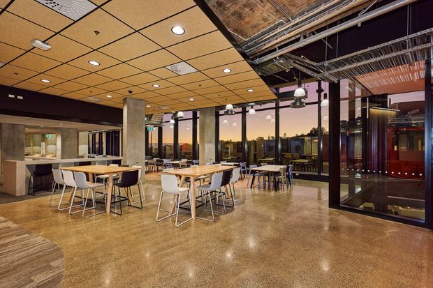 Open-plan commercial interior with a cafeteria or dining breakout area, featuring multiple timber tables and mixed chairs on a polished concrete floor. The space has expansive dark-framed glazing, exposed services and structure on one side, a suspended acoustic ceiling with recessed lighting on the other, concrete columns, and a glazed meeting or lounge enclosure.