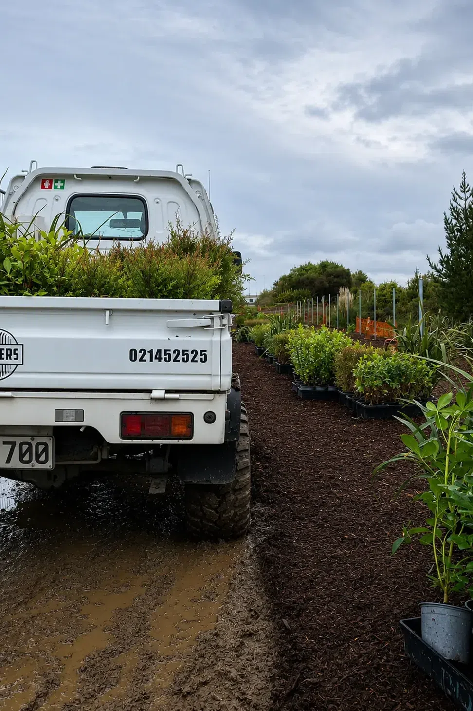 waimarire-nursery-ute.webp