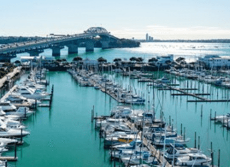 Project Timber: Westhaven Marina