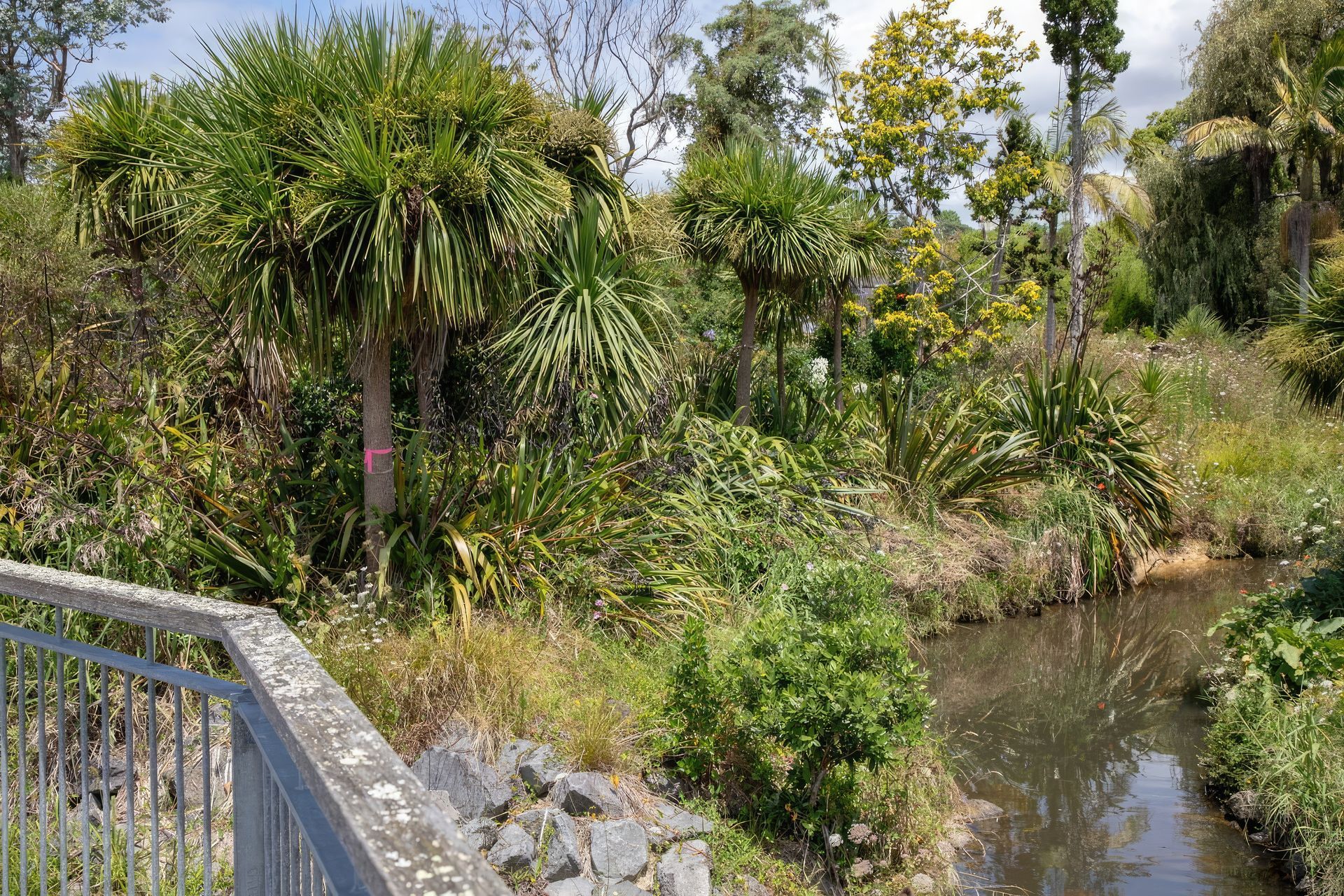 long-bay-182A0261-gigapixel-standard-scale-200x.jpg