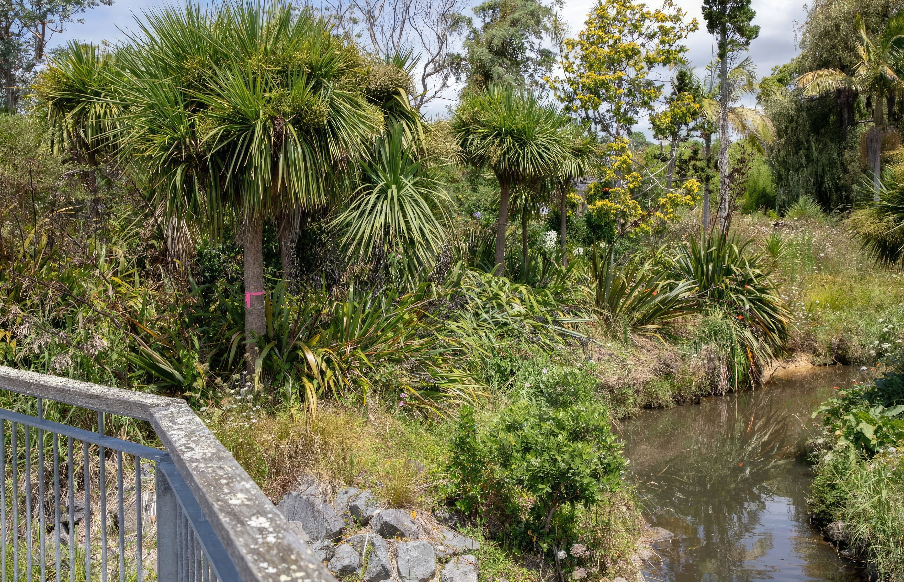 long-bay-182A0261-gigapixel-standard-scale-200x.jpg