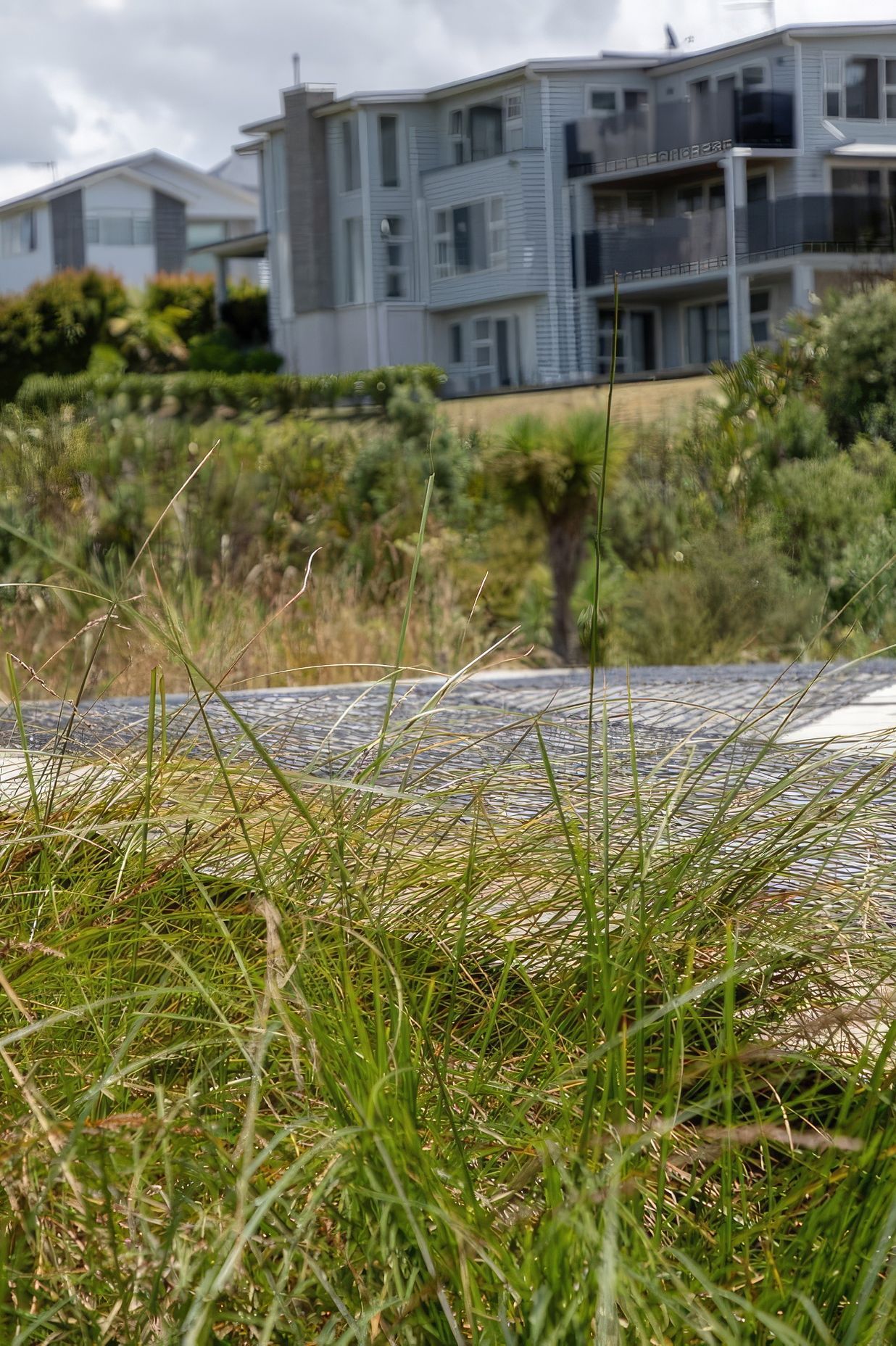 long-bay-182A0307-gigapixel-standard-scale-200x.jpg