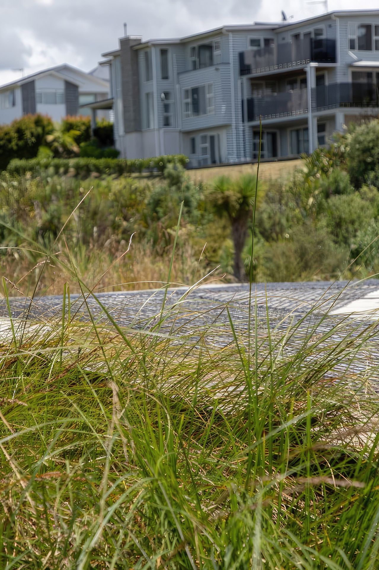long-bay-182A0307-gigapixel-standard-scale-200x.jpg