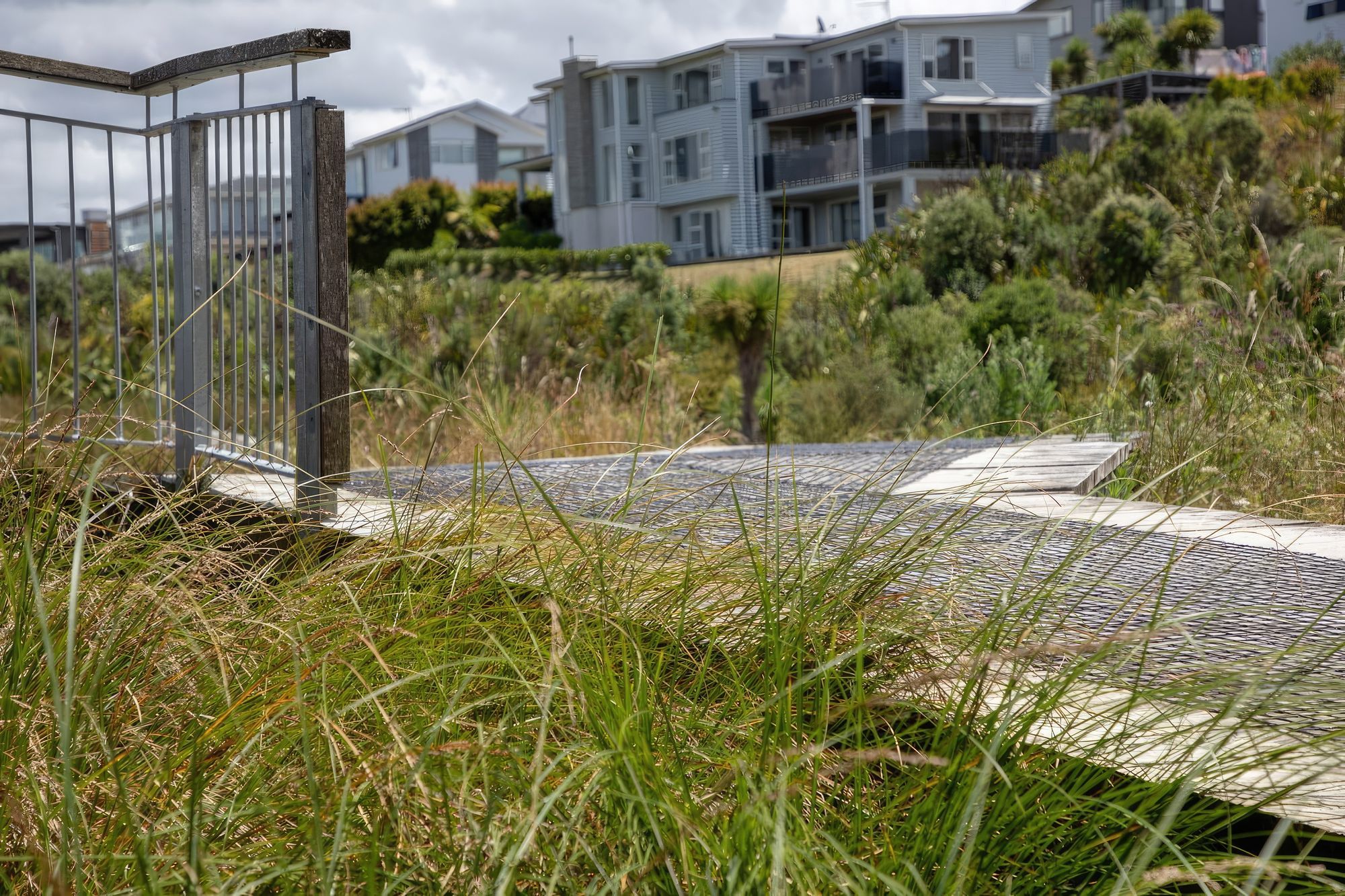 long-bay-182A0307-gigapixel-standard-scale-200x.jpg