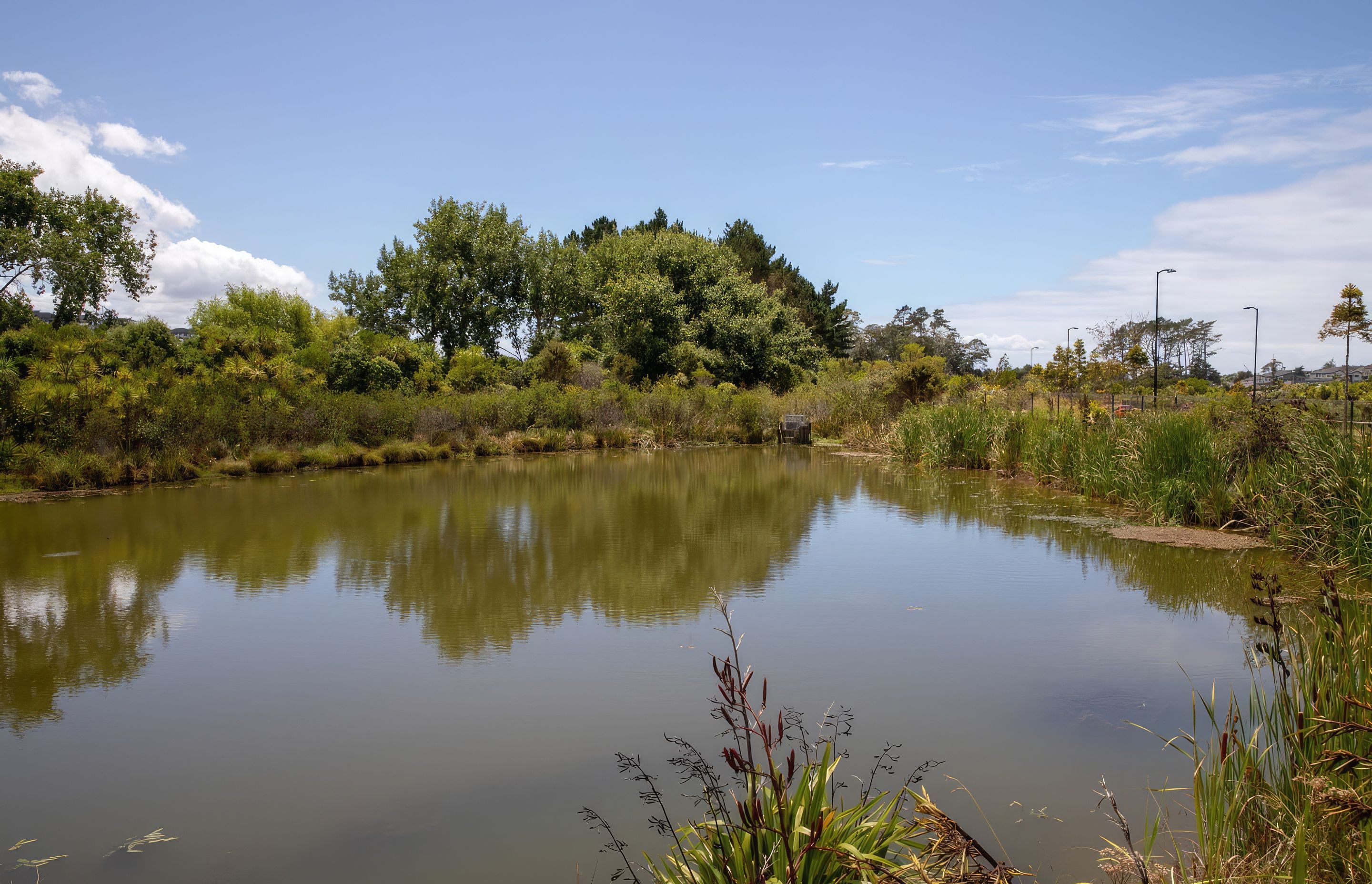 millwater-182A0224-gigapixel-standard-scale-200x.jpg