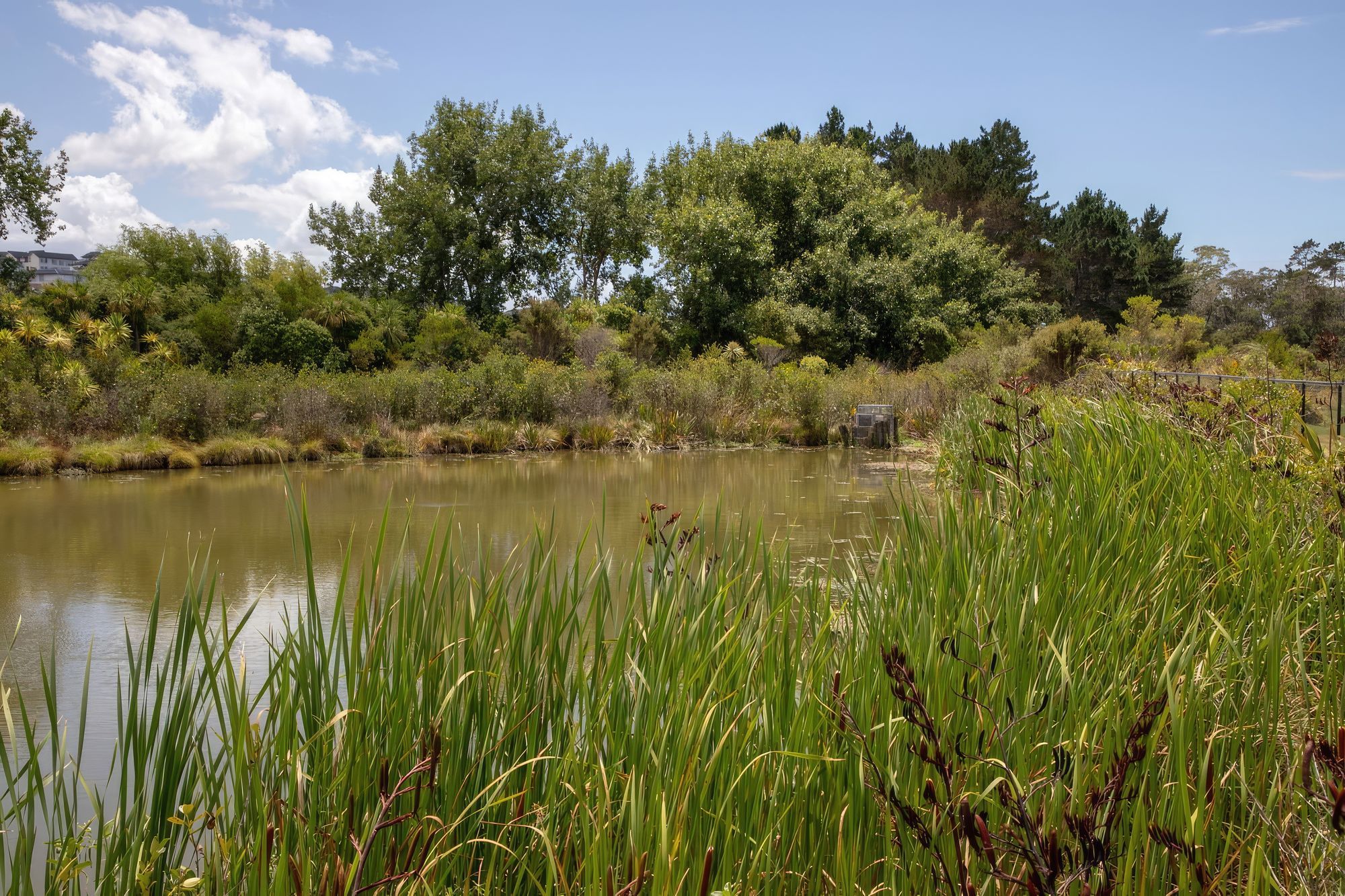 millwater-182A0227-gigapixel-standard-scale-200x-v2.jpg