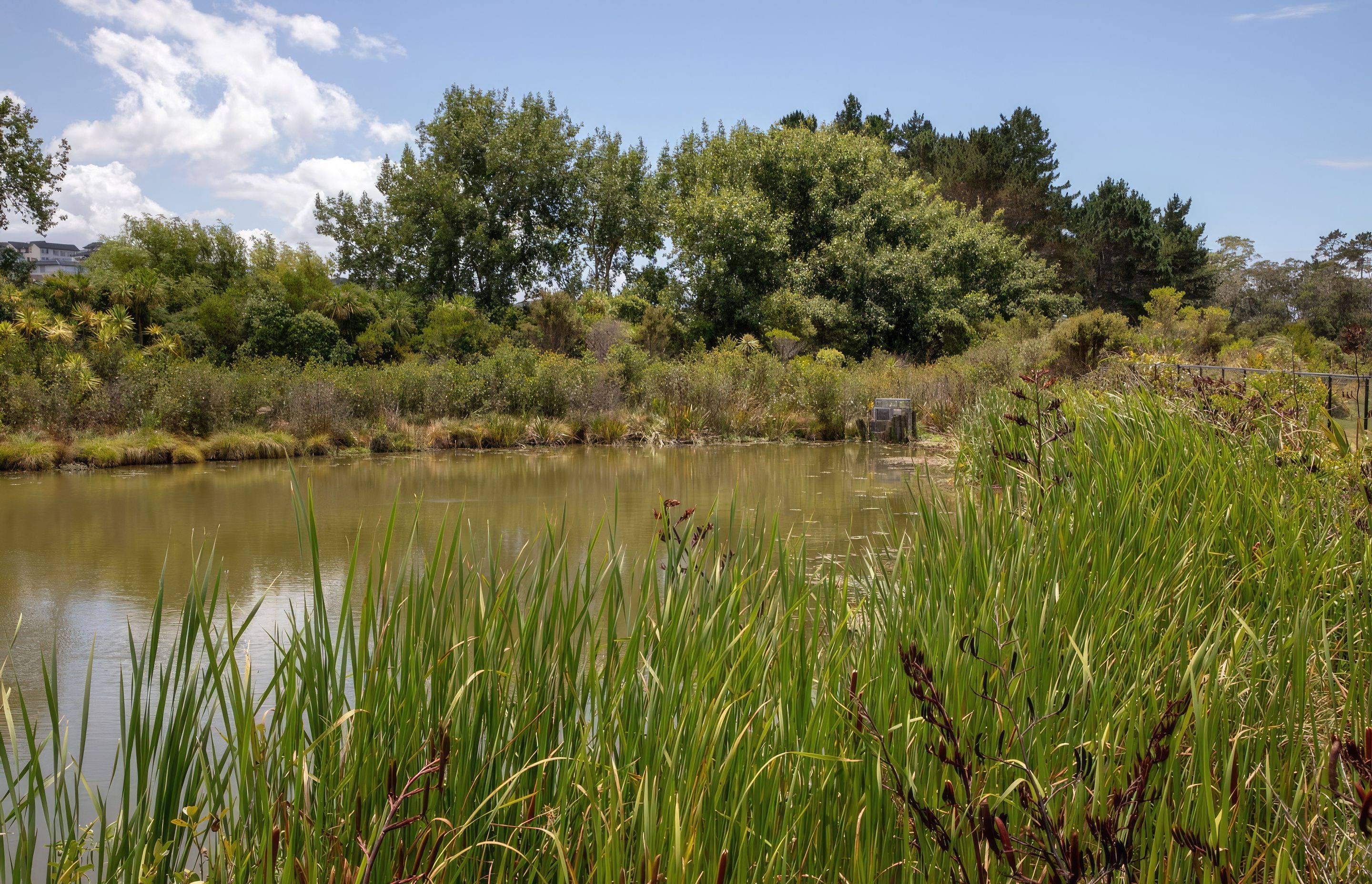 millwater-182A0227-gigapixel-standard-scale-200x-v2.jpg