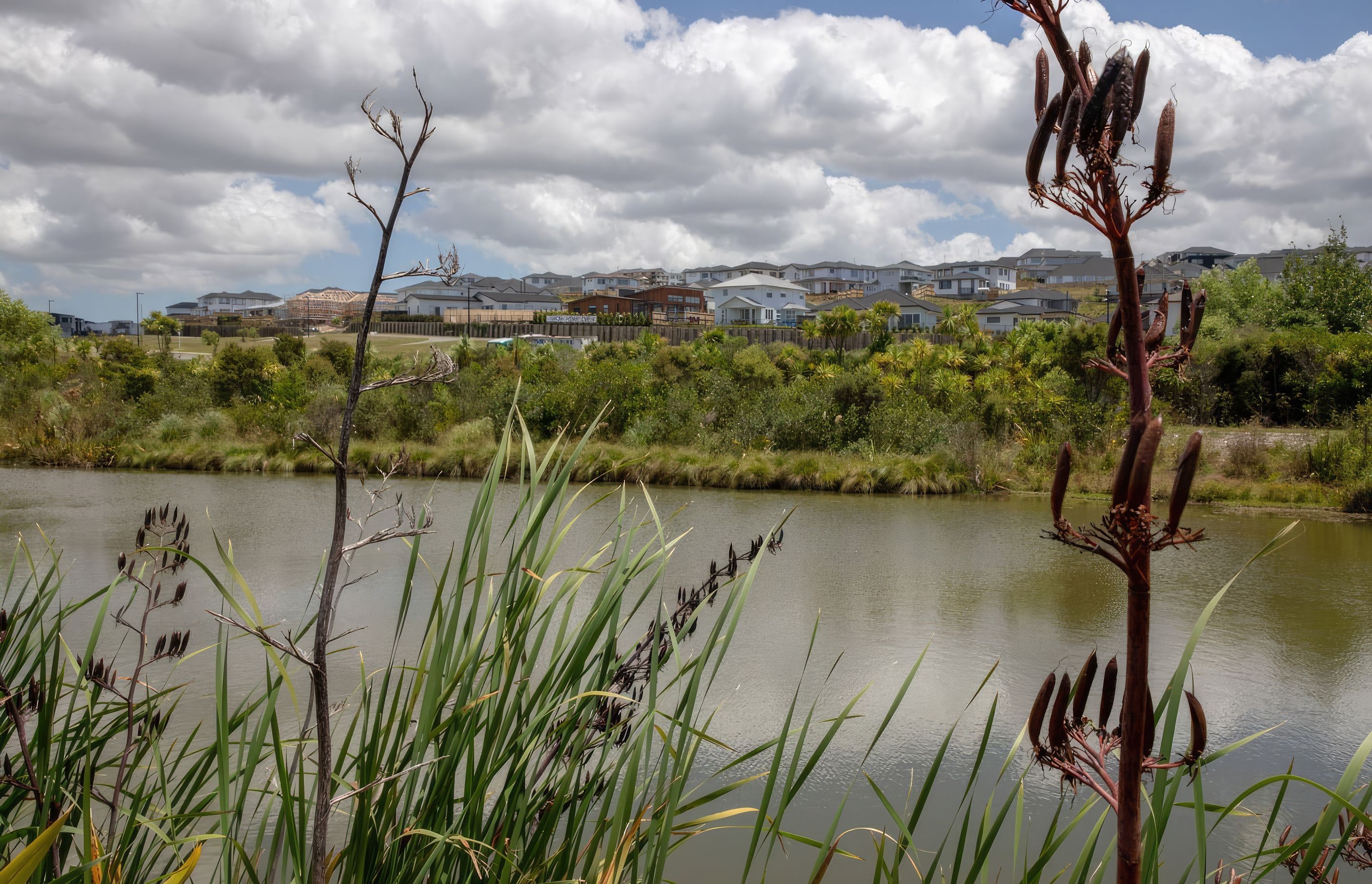 millwater-182A0248-gigapixel-standard-scale-200x.jpg
